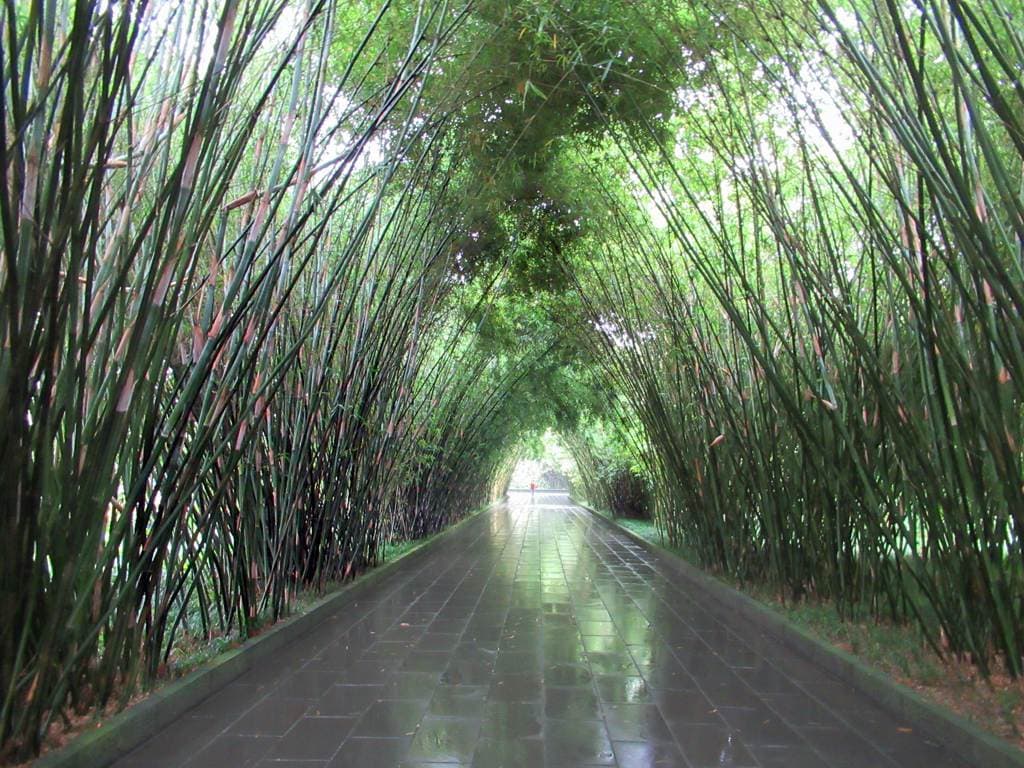 Wangjianglou Park
