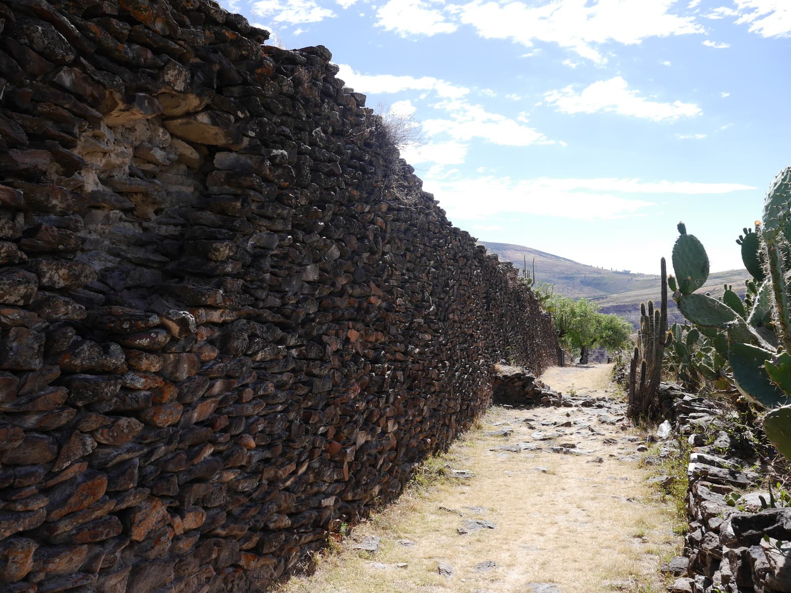 Ruins of Wari