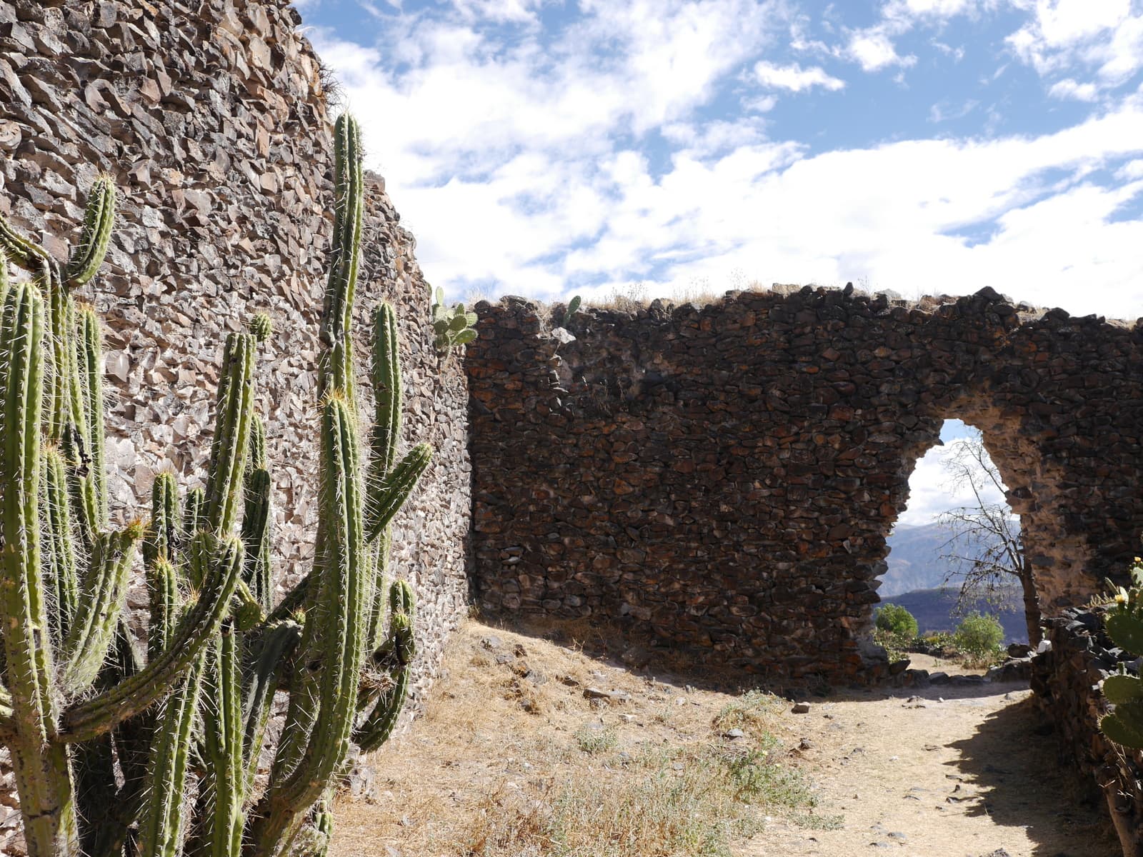 Ruins of Wari