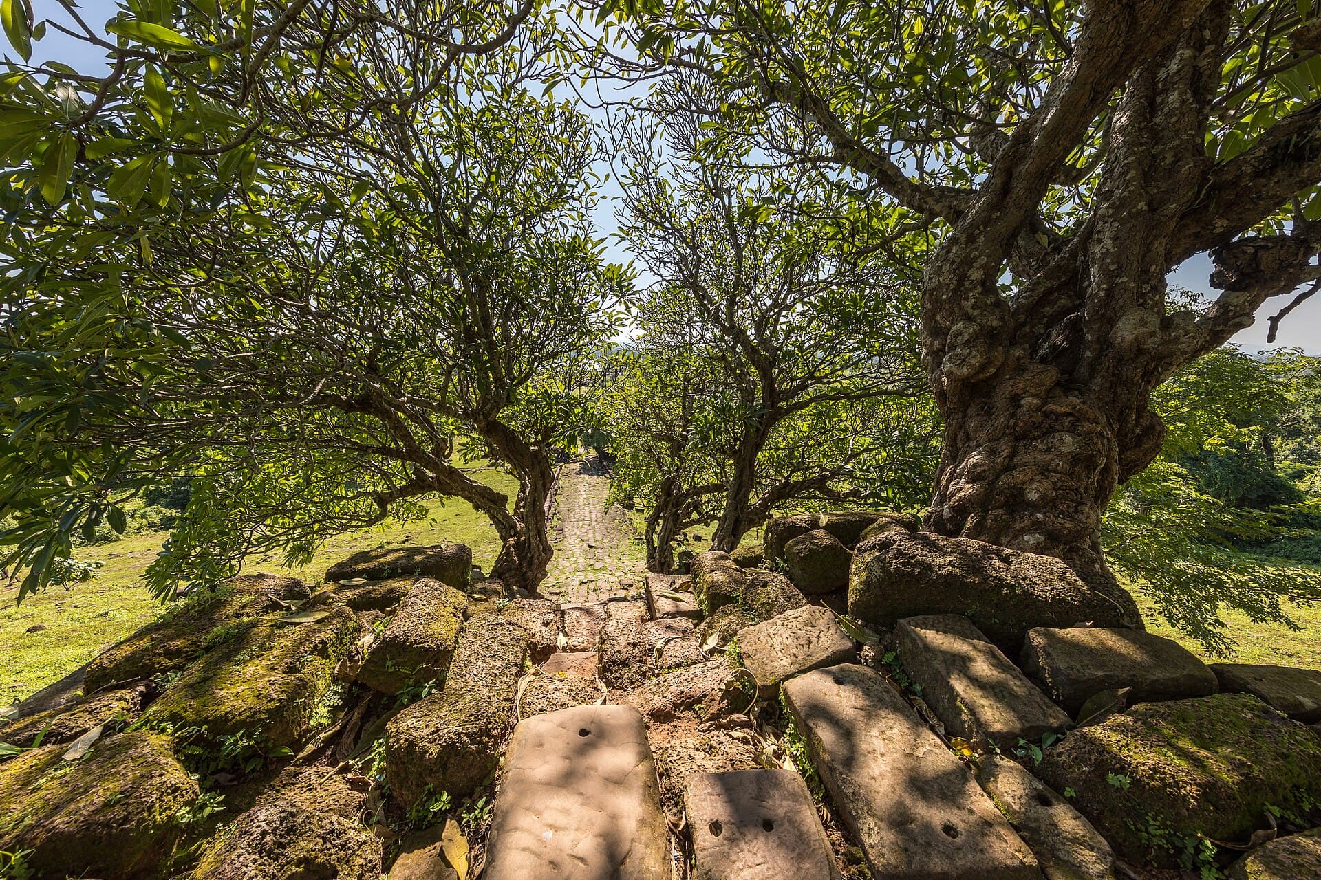 Wat Phou ruins, Champasak