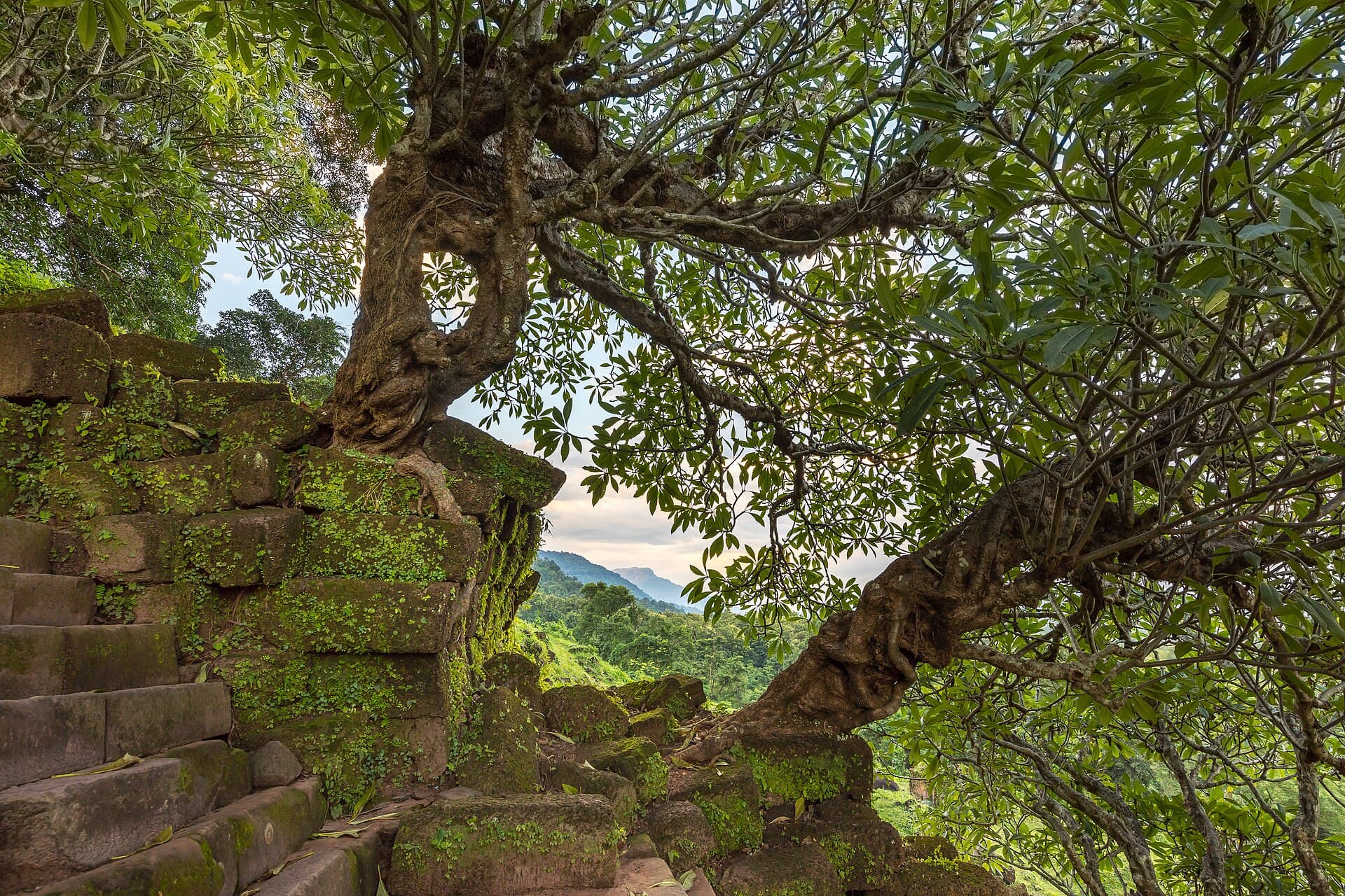 Wat Phou ruins, Champasak