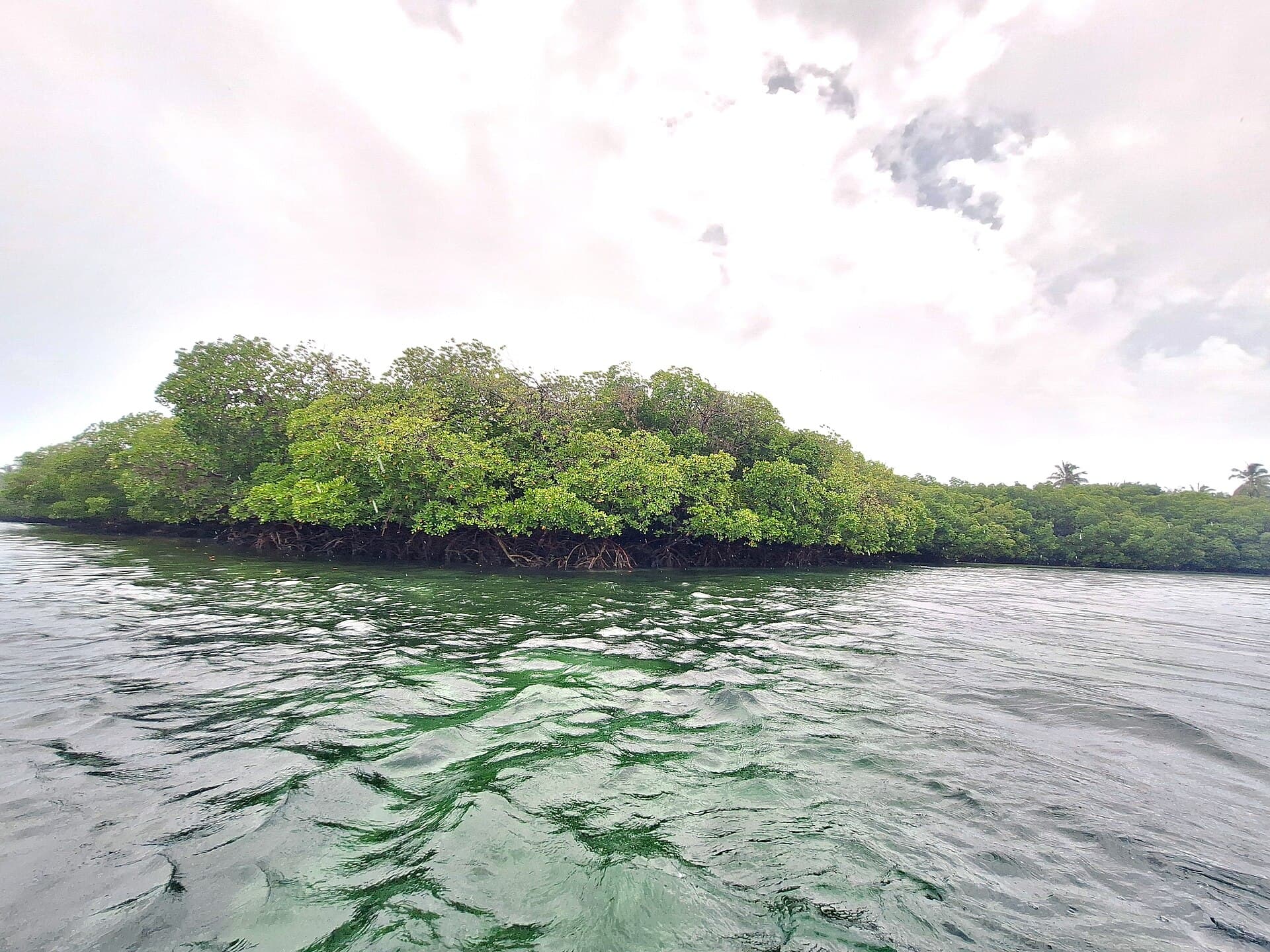 Watamu Marine National Park
