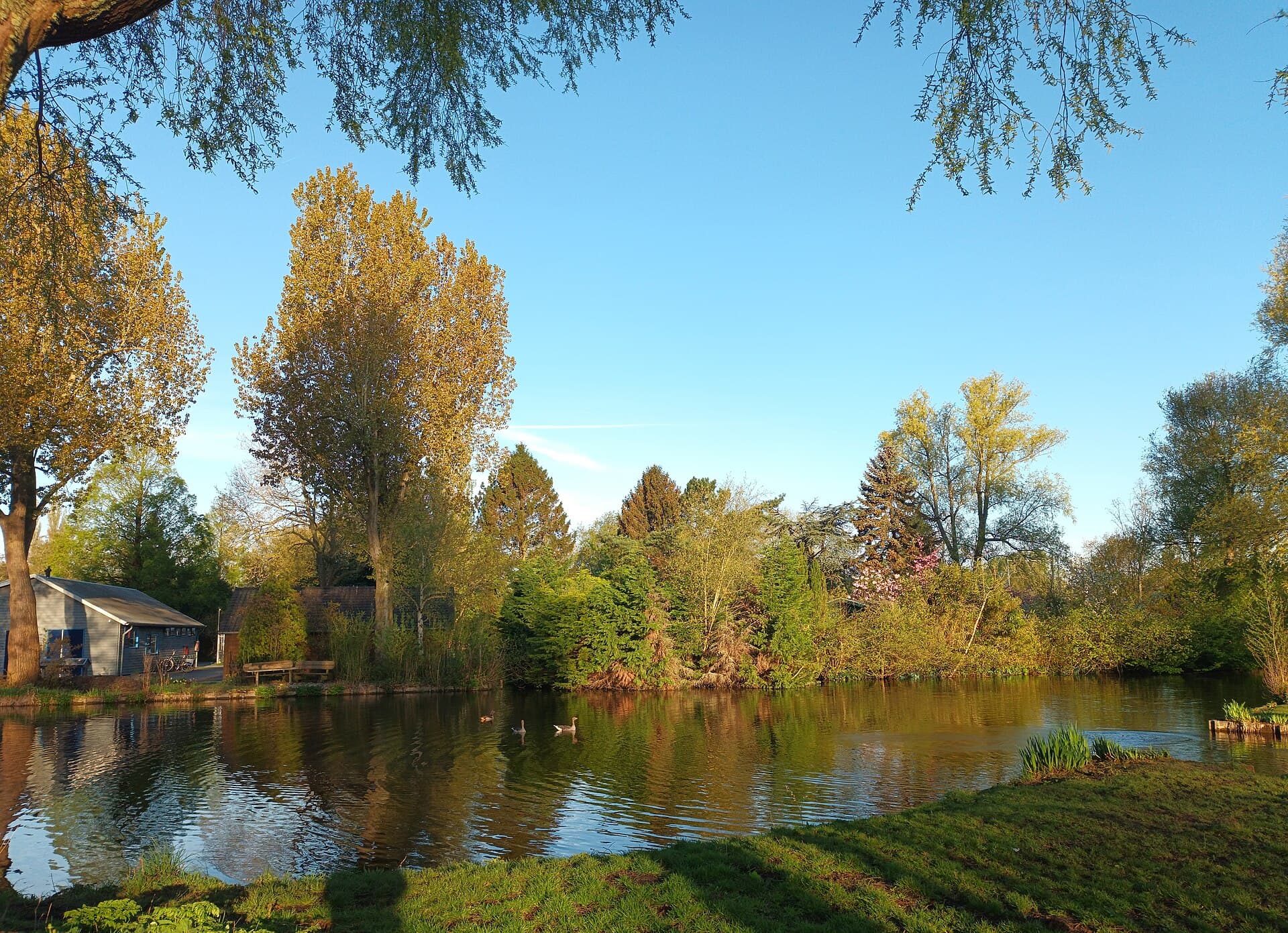 The Westerpark and Westergasfabriek, Amsterdam