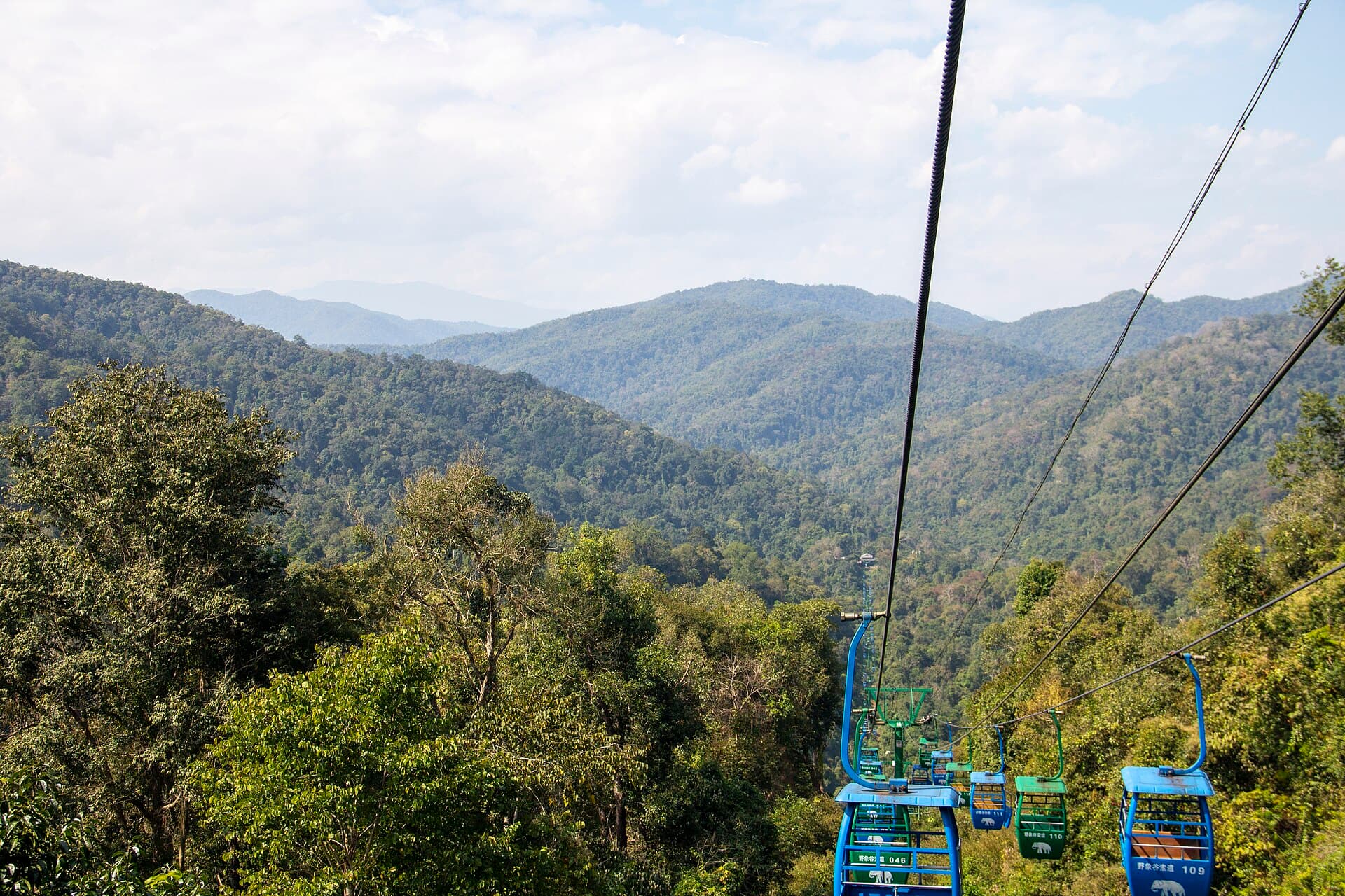 Wild Elephant Valley