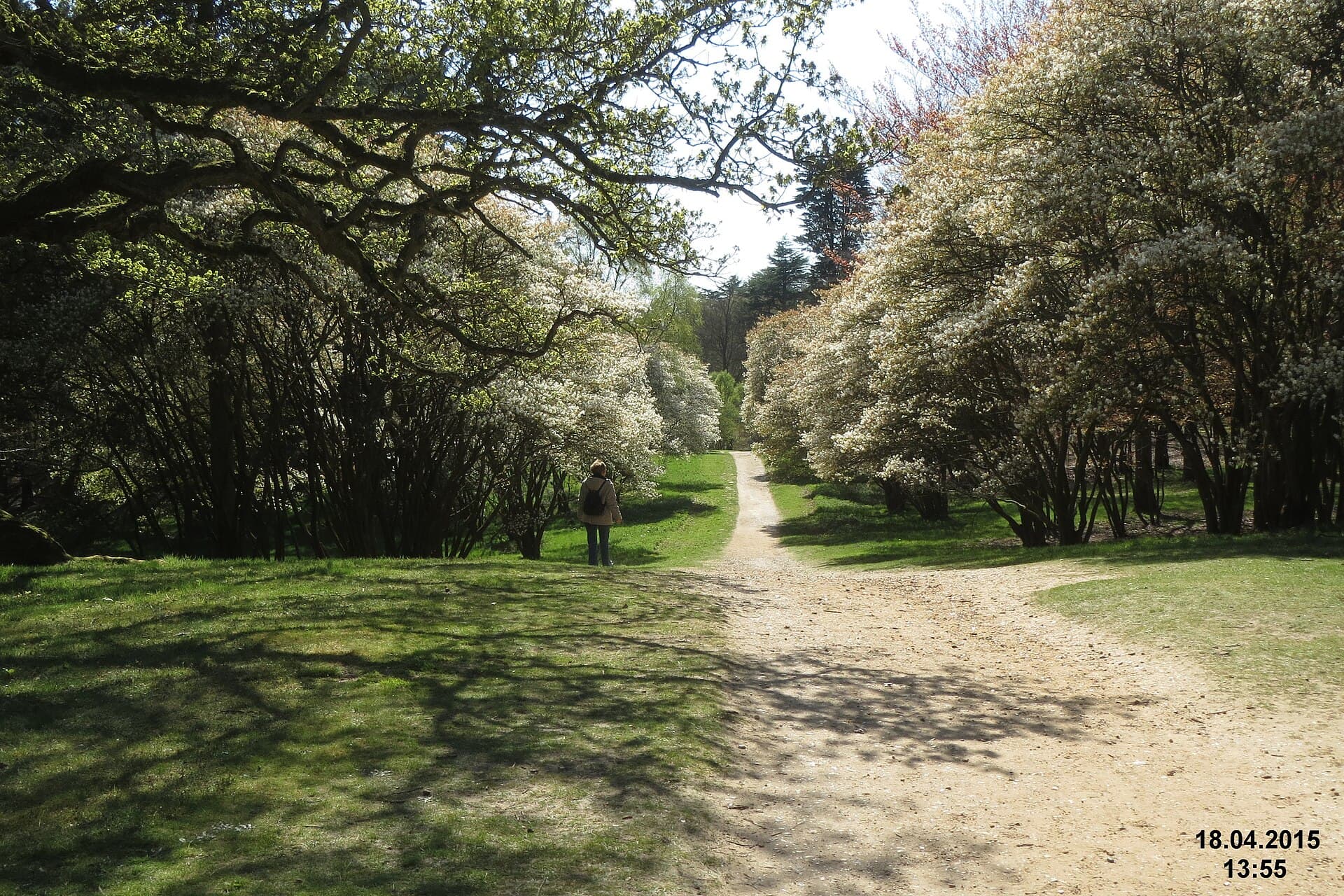 Windsor Great Park, Windsor