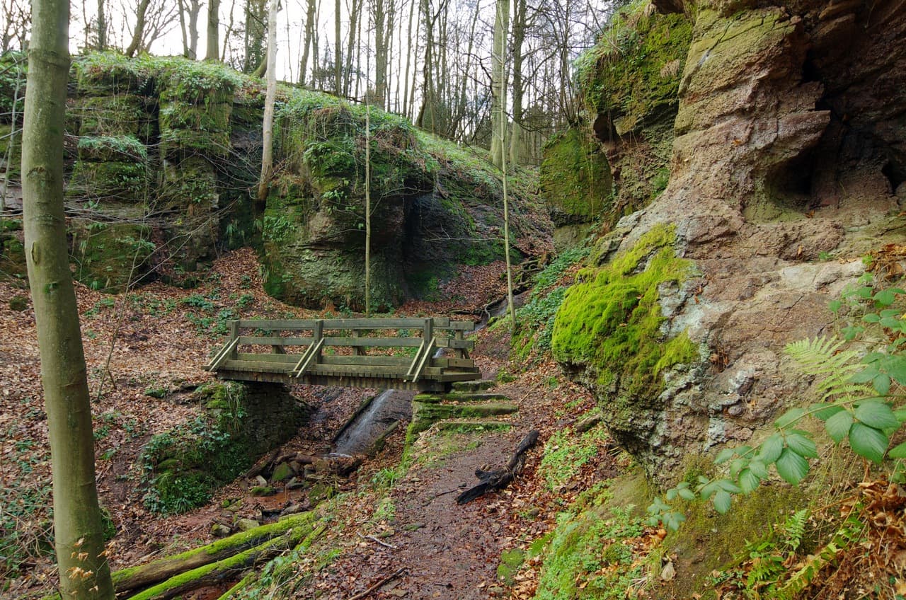 The Wolfsschlucht, Baden-Baden