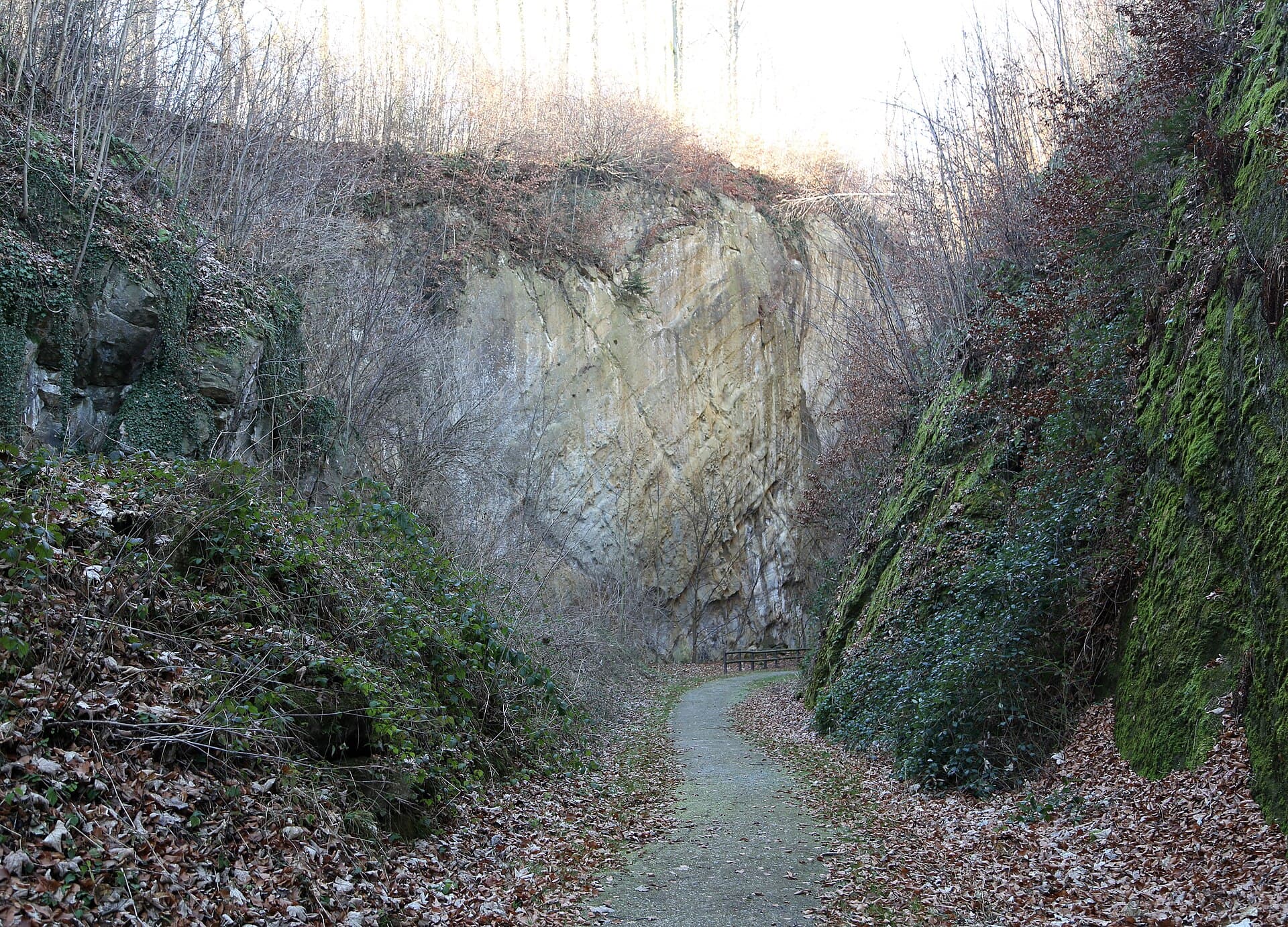 The Wolfsschlucht, Baden-Baden