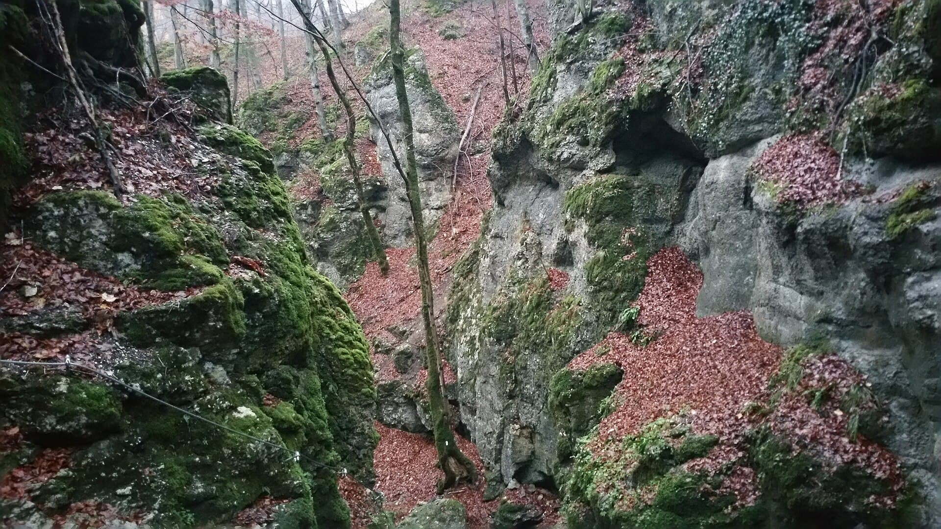 The Wolfsschlucht, Baden-Baden