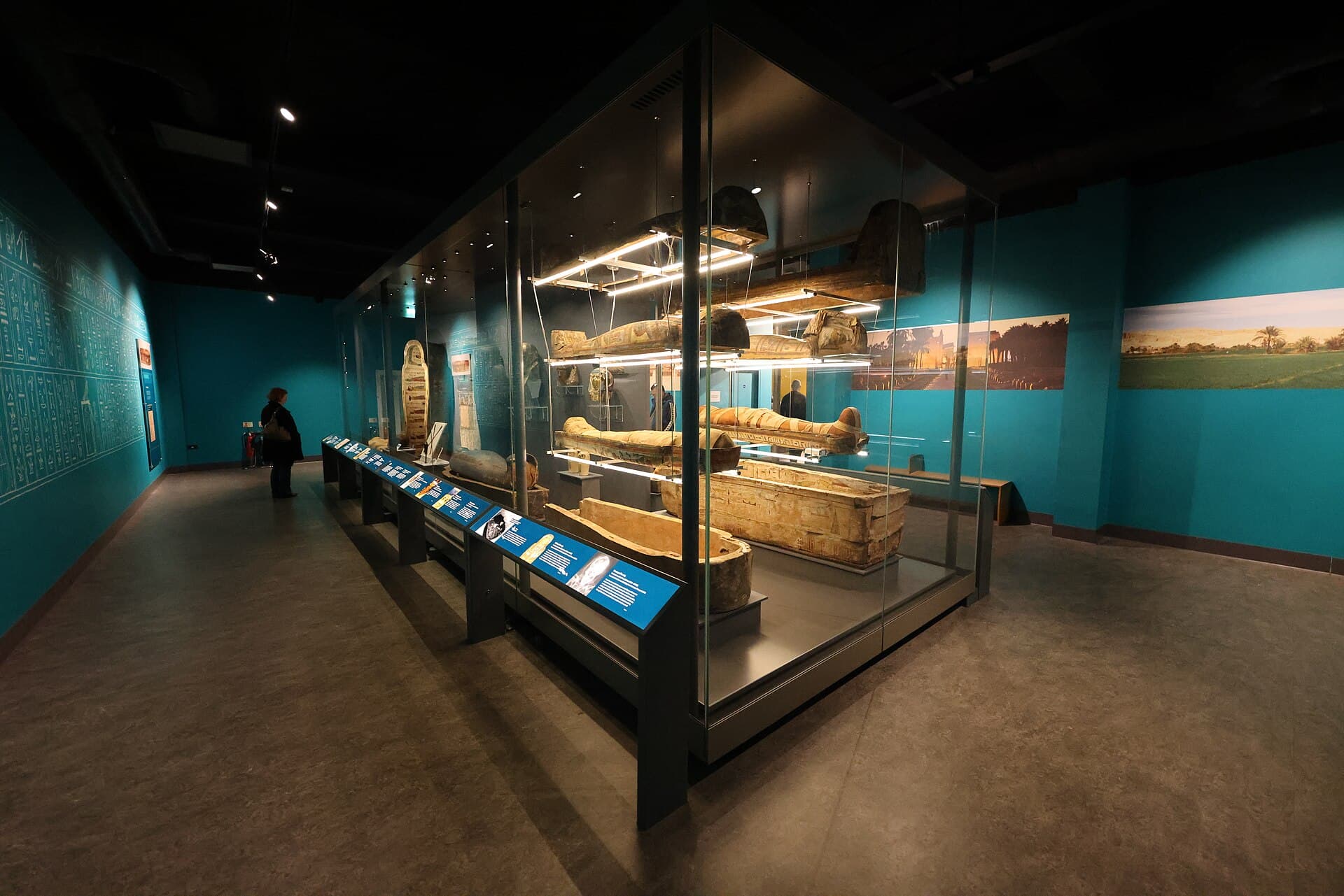 World Museum Liverpool, Liverpool