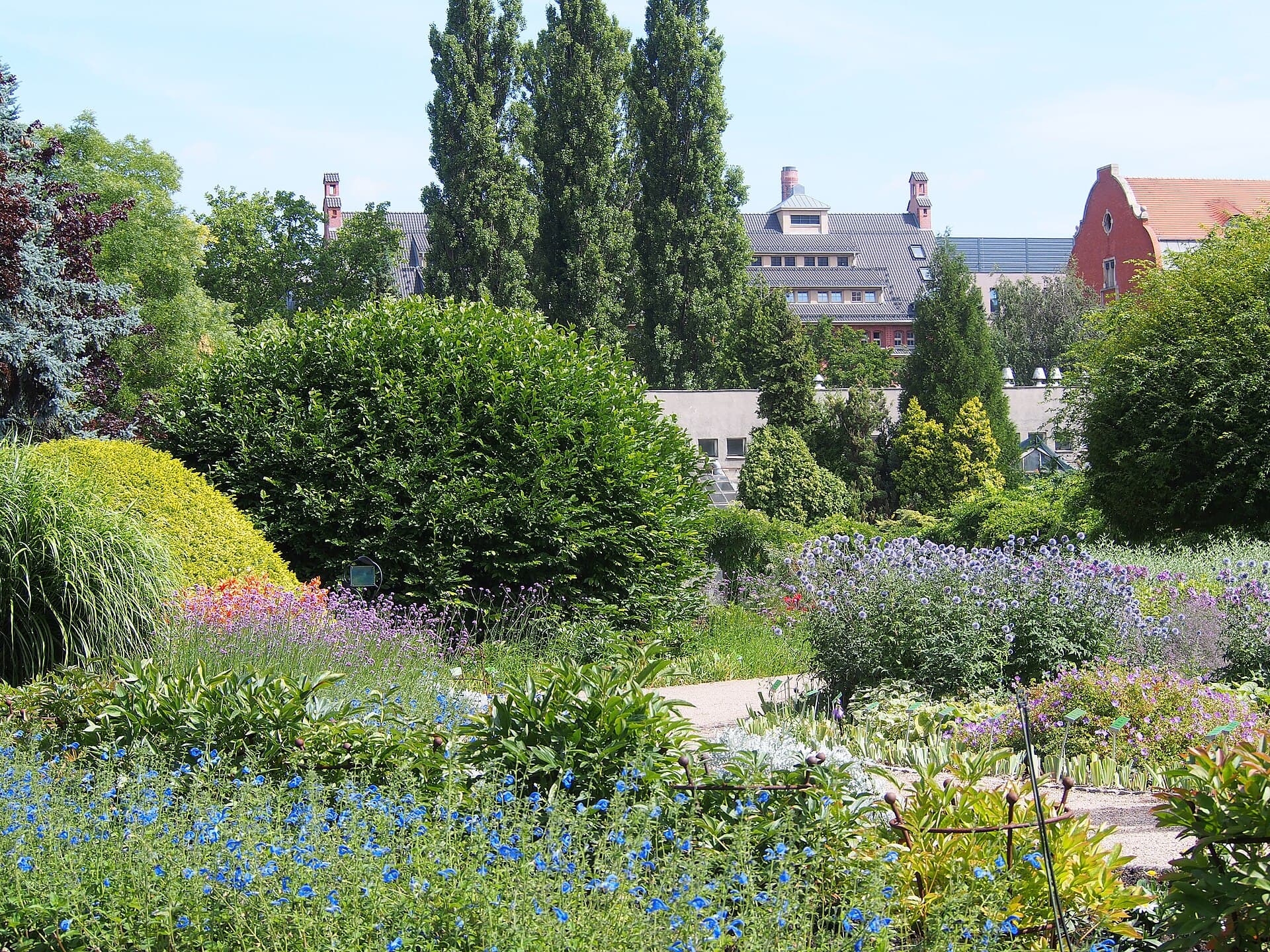 University of Wrocław Botanical Garden, Wrocław