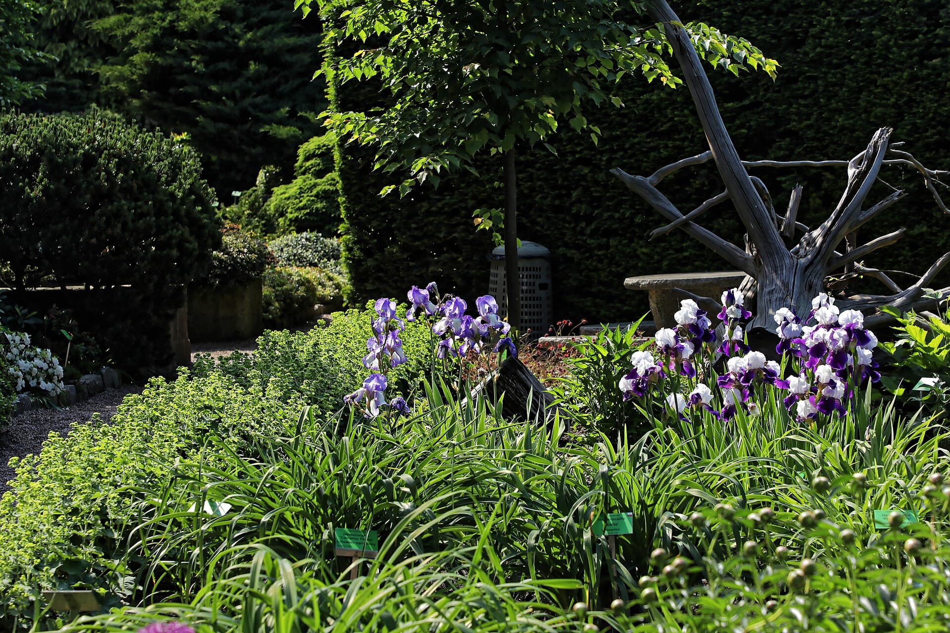 University of Wrocław Botanical Garden, Wrocław