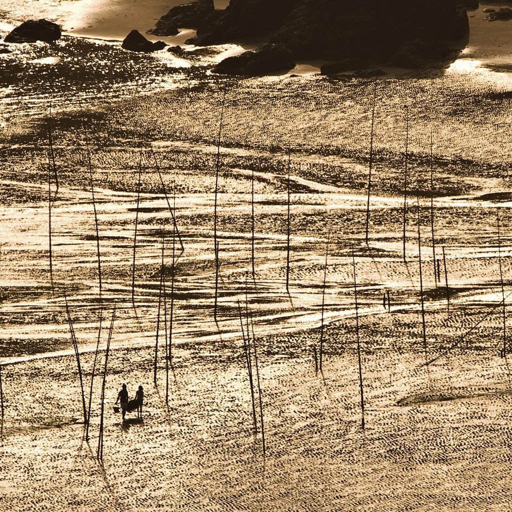 Xiapu Mudflats