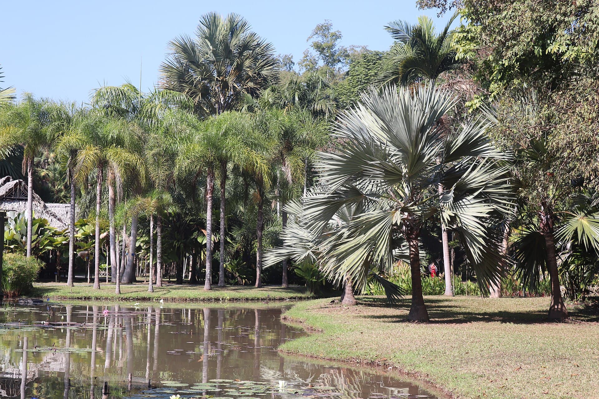 شيشوانغبانا