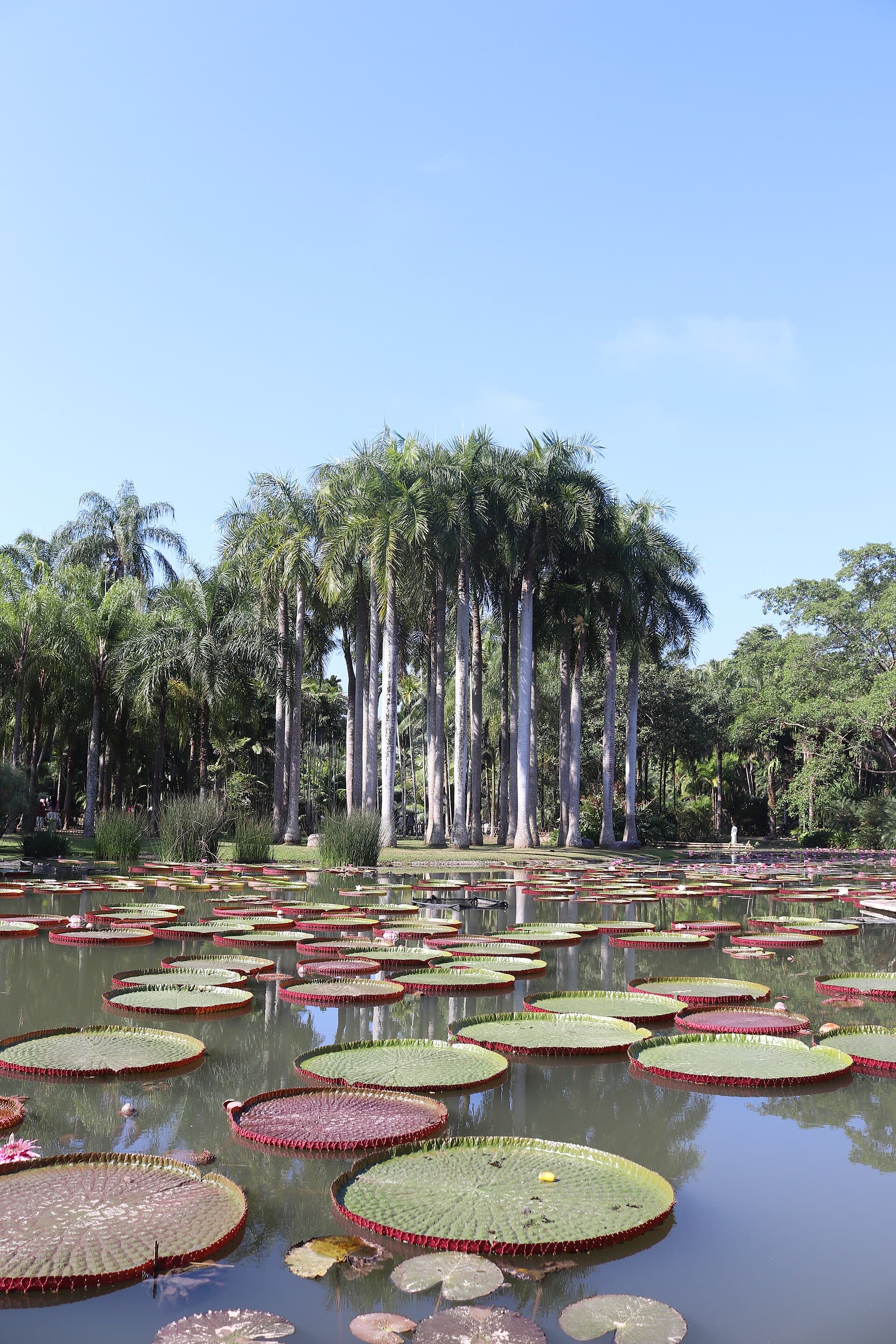Xishuangbanna Tropical Botanical Garden