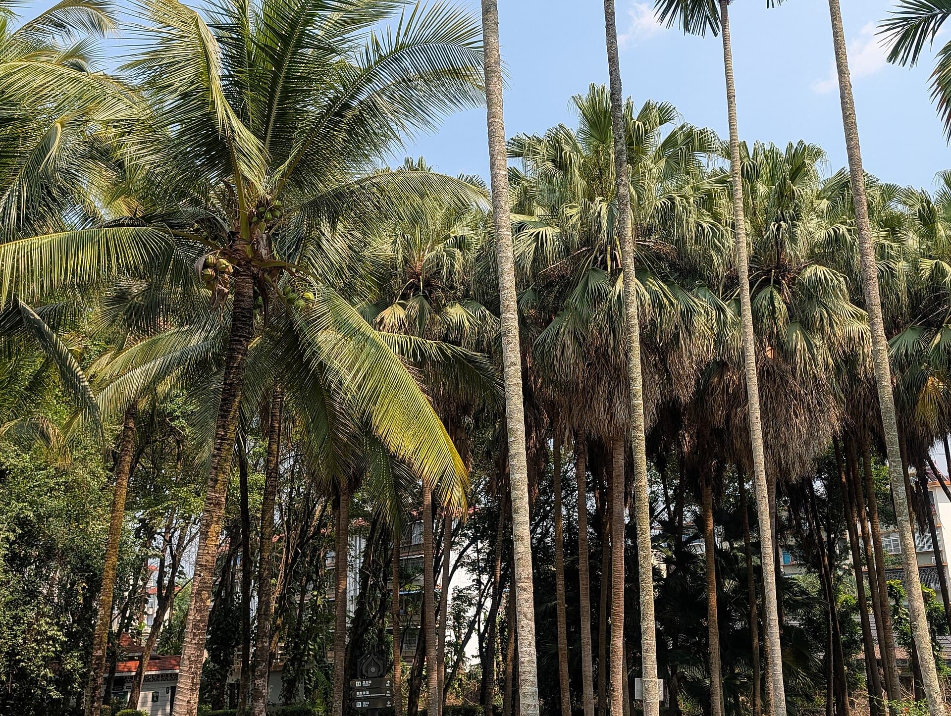 Xishuangbanna Tropical Flower Garden