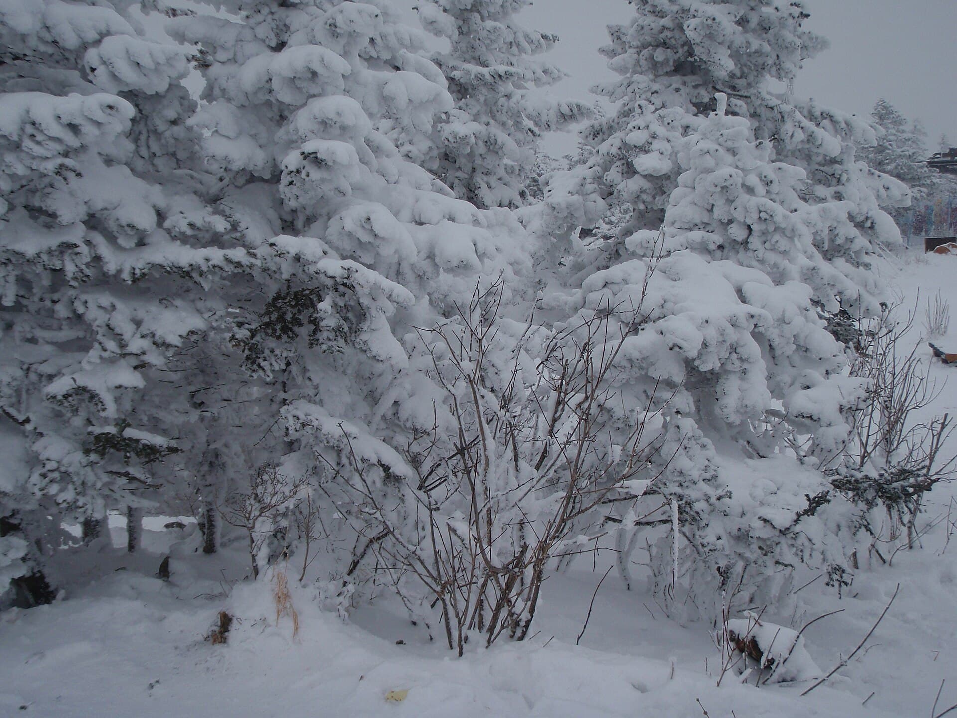 Yabuli Ski Resort
