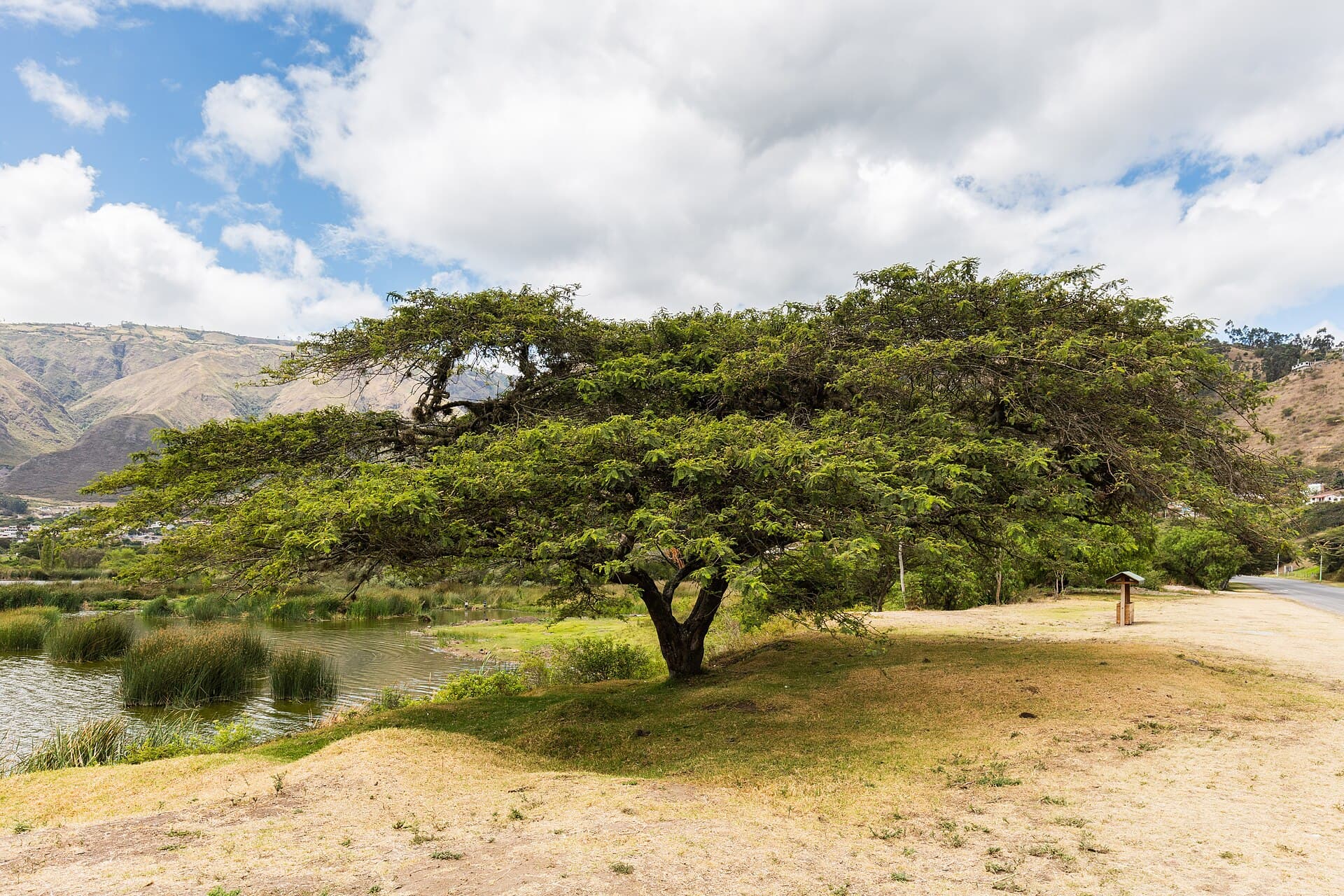 Yahuarcocha Lake near Ibarra