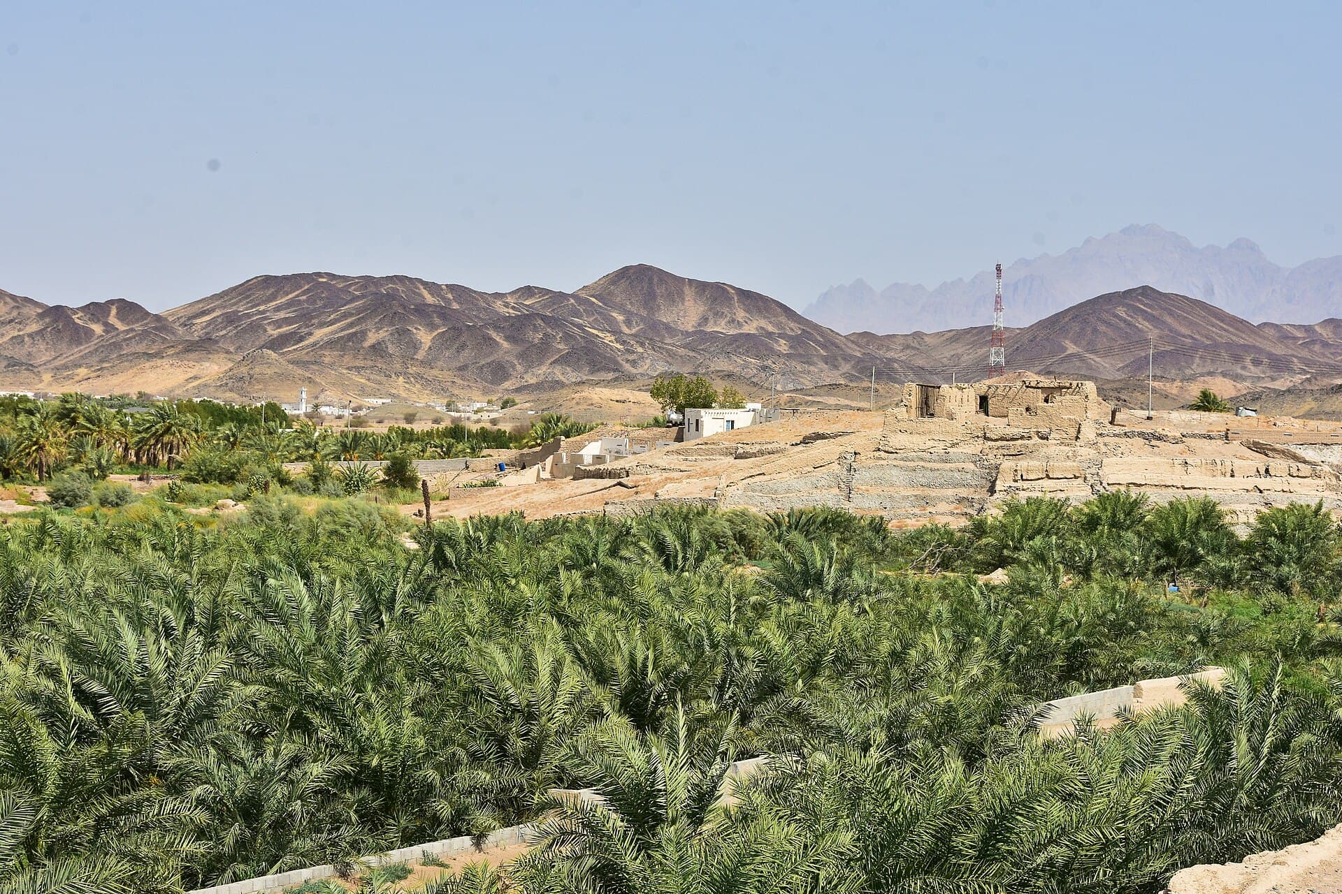 Yanbu al-Nakhl