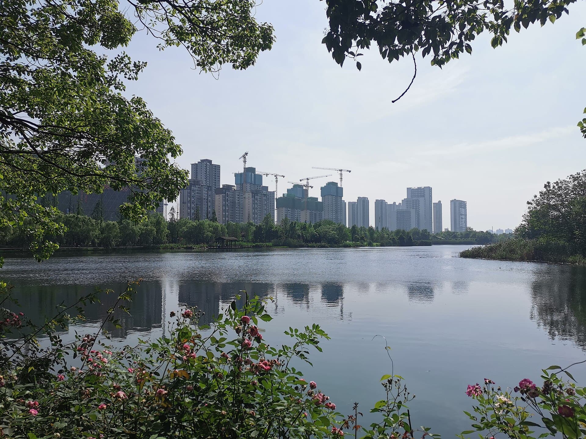 Yanghu Wetland Park
