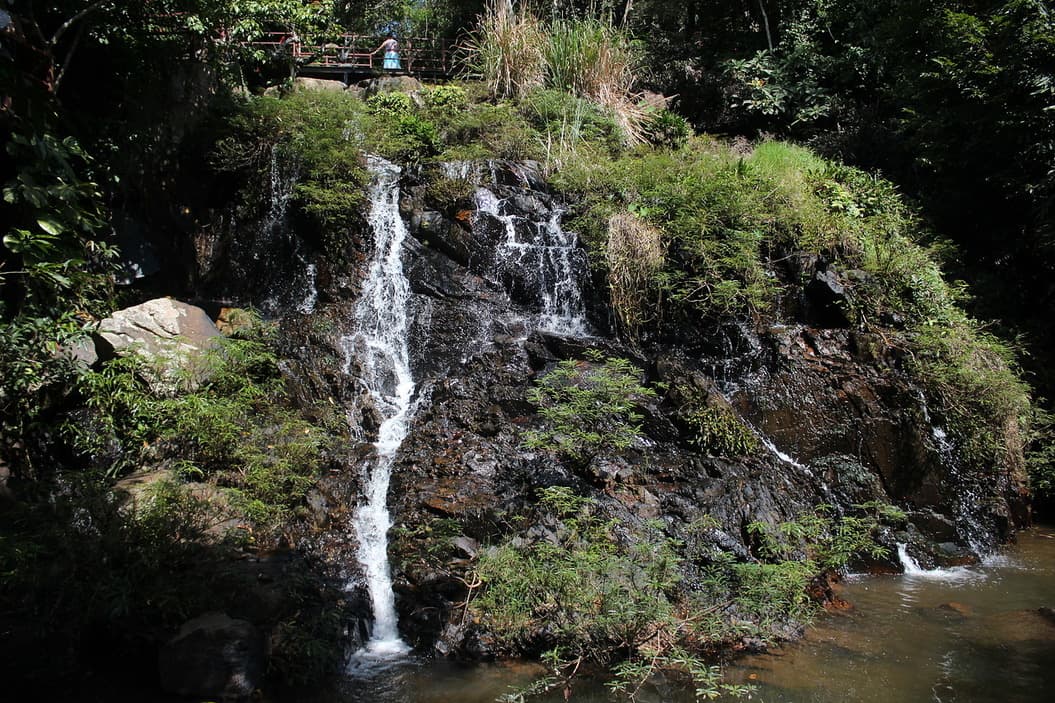 Yanoda Rainforest