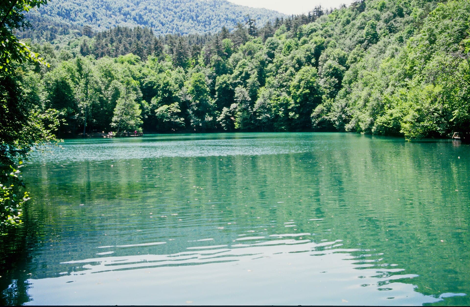 Yedigöller National Park
