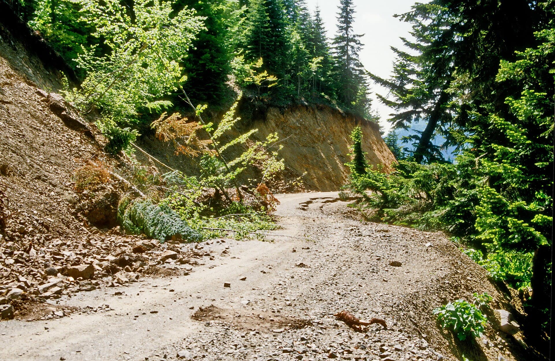 Yedigöller National Park, Bolu