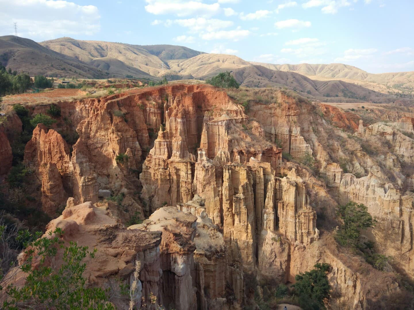 Yuanmou Earth Forest