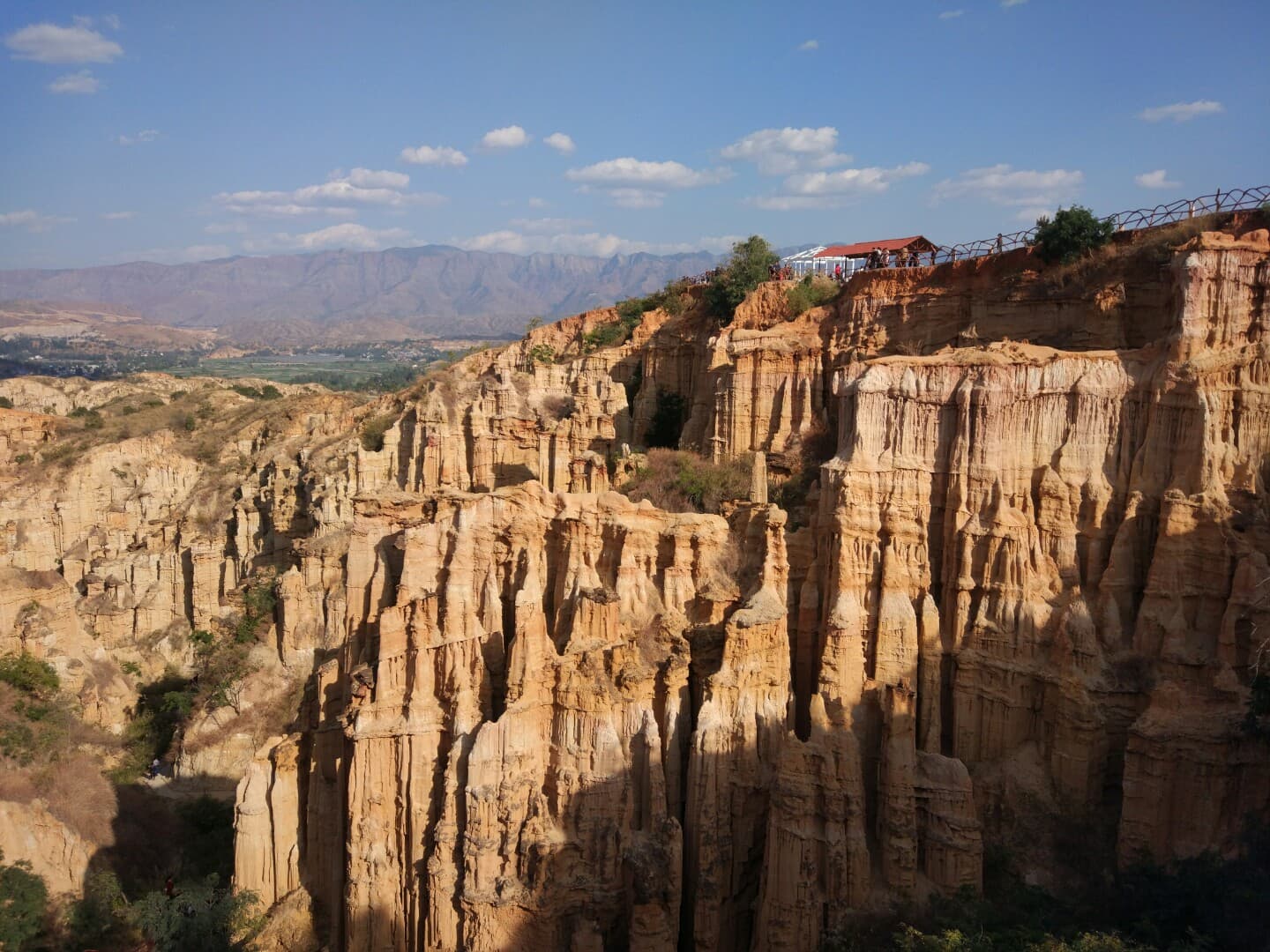 Yuanmou Earth Forest