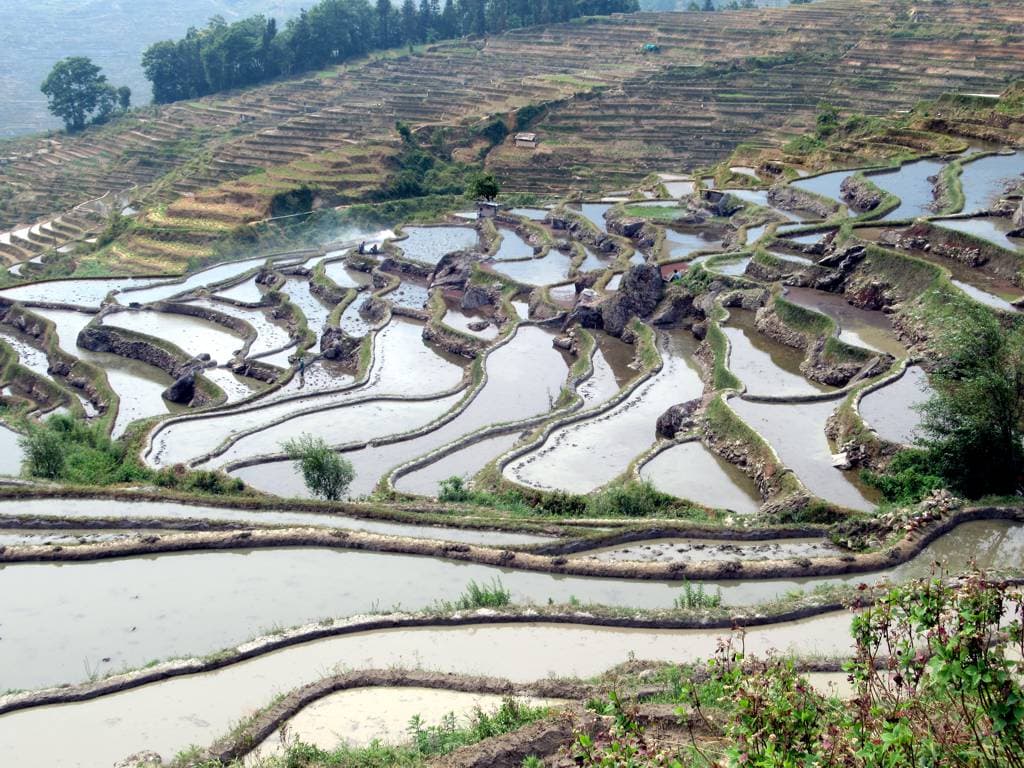 Honghe Hani Rice Terraces, Yuanyang