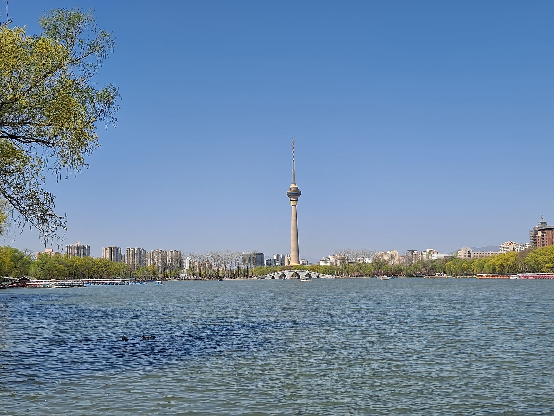 حديقة يويوانتان