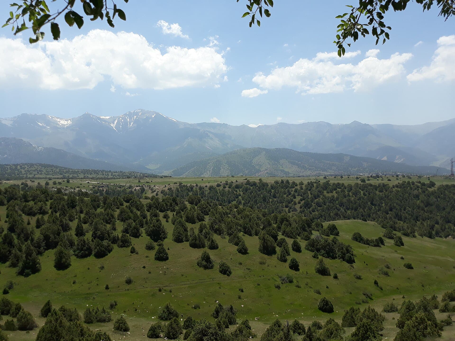 Zaamin National Park, Zaamin