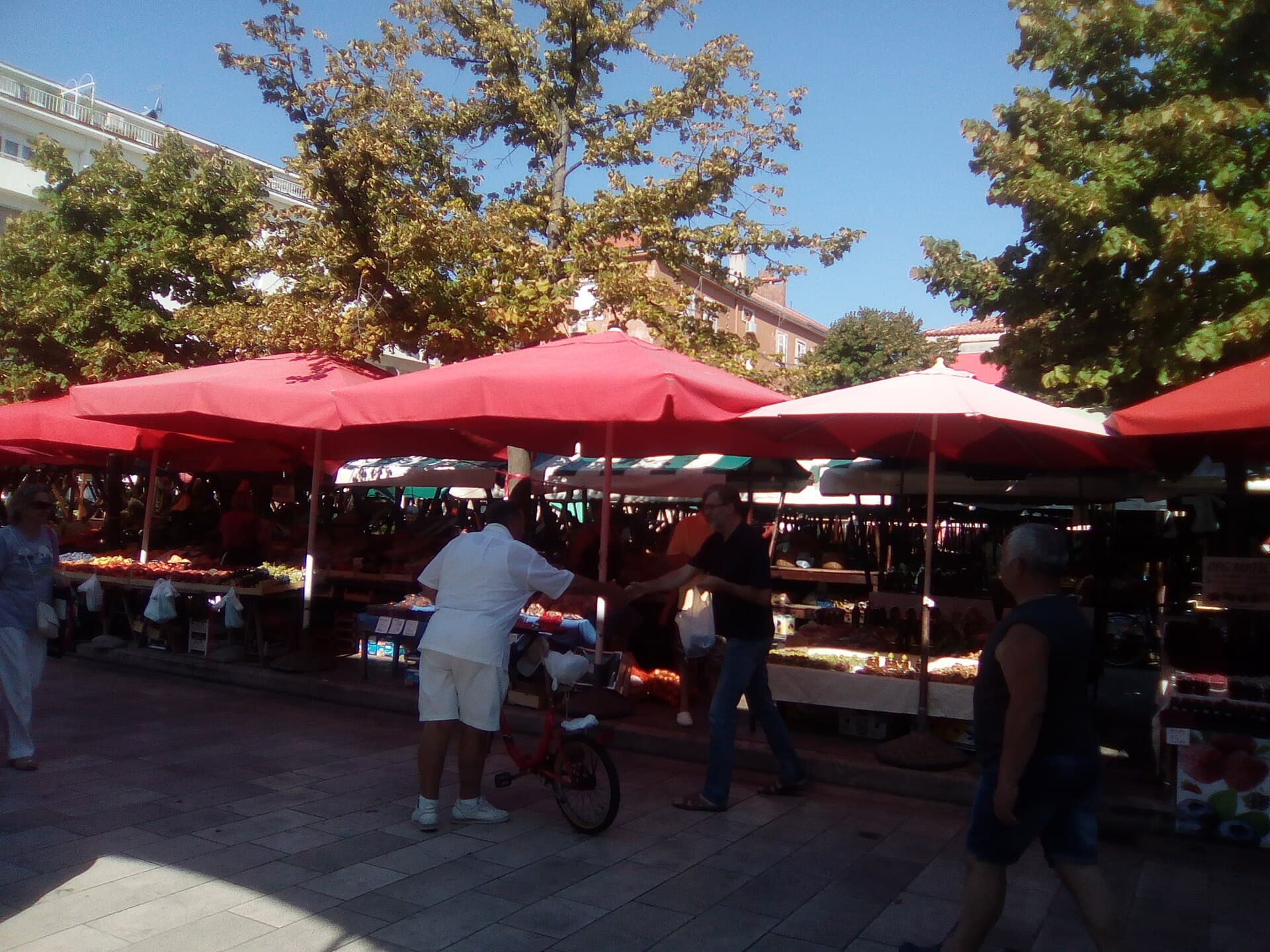 Seasonal produce laid out on the stalls