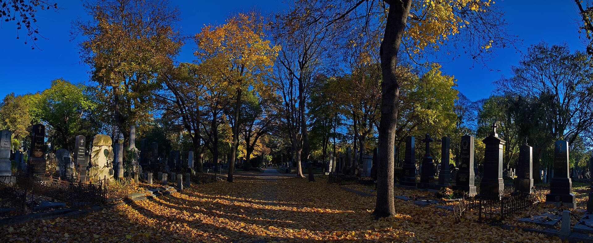 Vienna Central Cemetery, Vienna