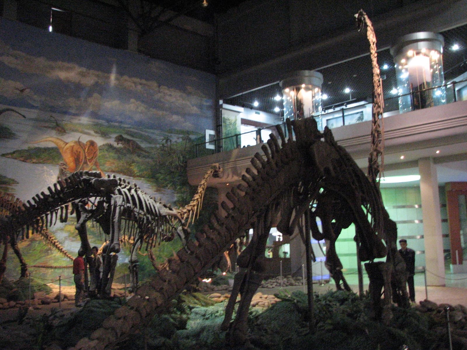 Zigong Dinosaur Museum