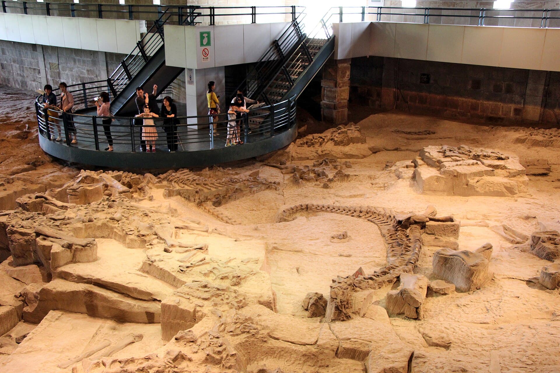 Zigong Dinosaur Museum