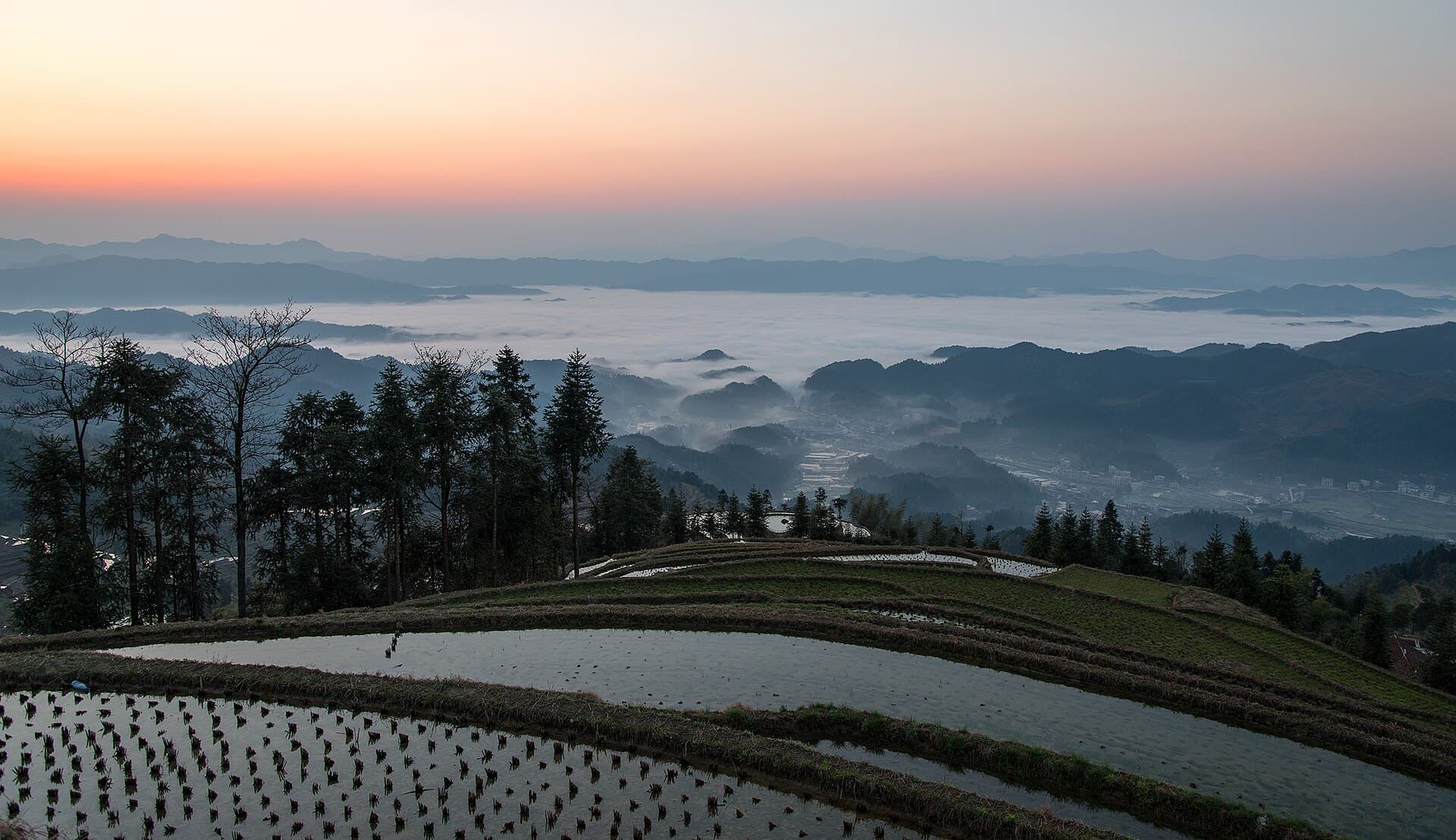 Ziquejie Rice Terraces