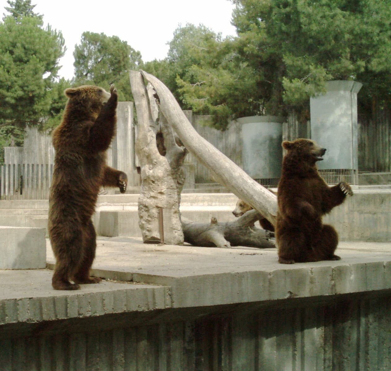 Zoo Aquarium de Madrid, Madrid