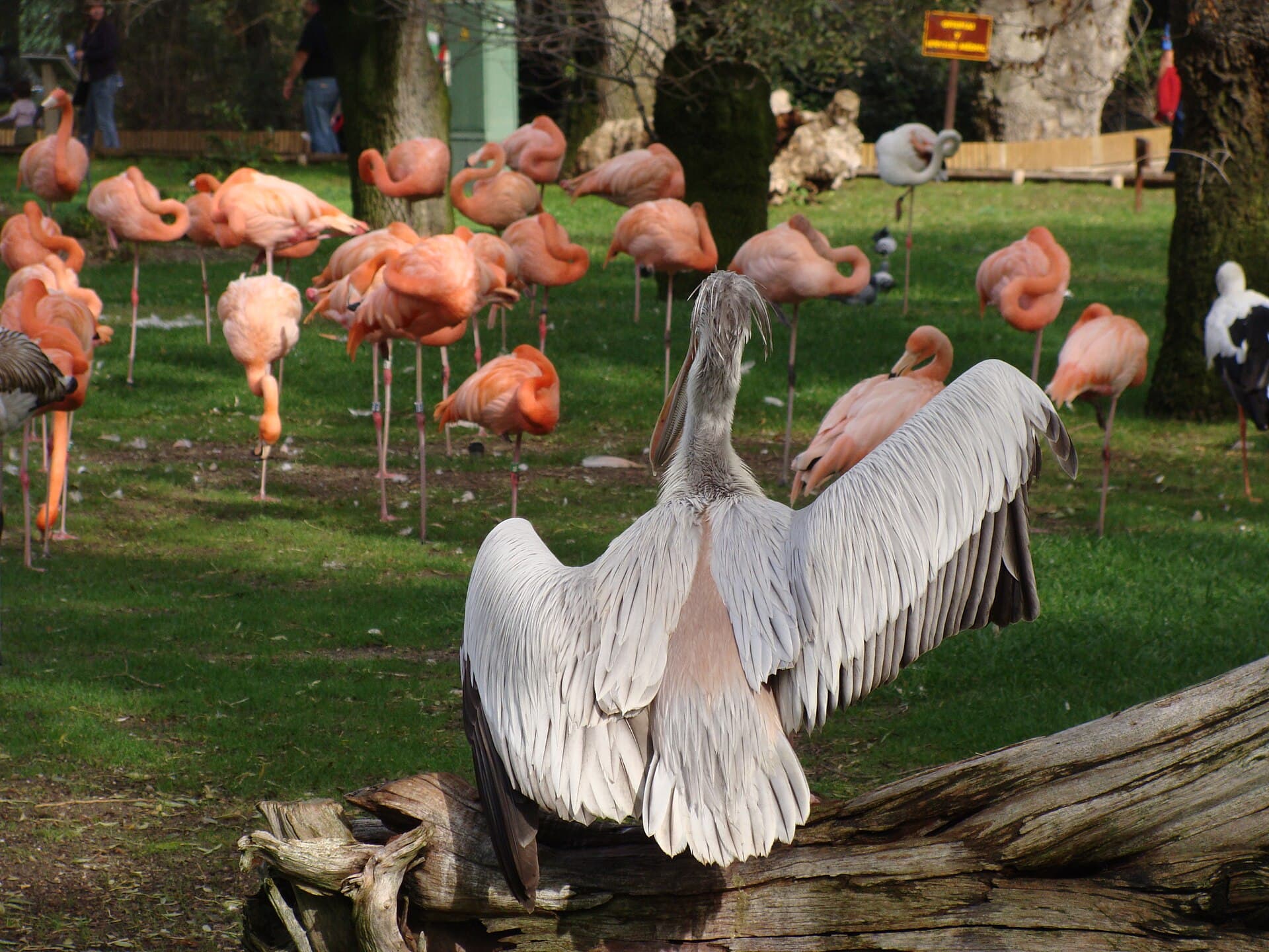 Zoo Aquarium de Madrid, Madrid