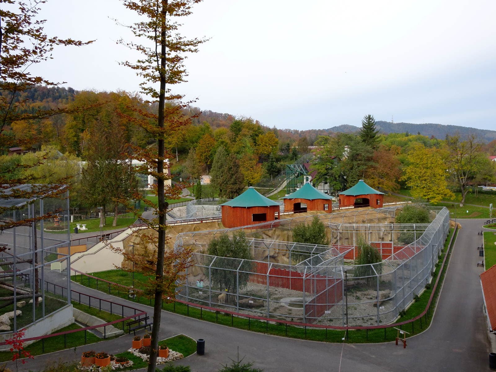 Brasov Zoo, Brasov