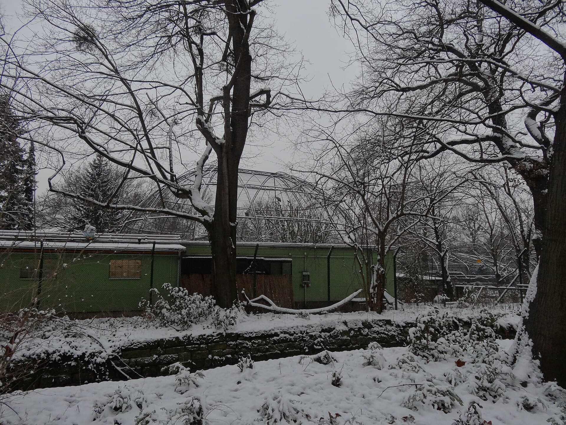 Dresden Zoo, Dresden
