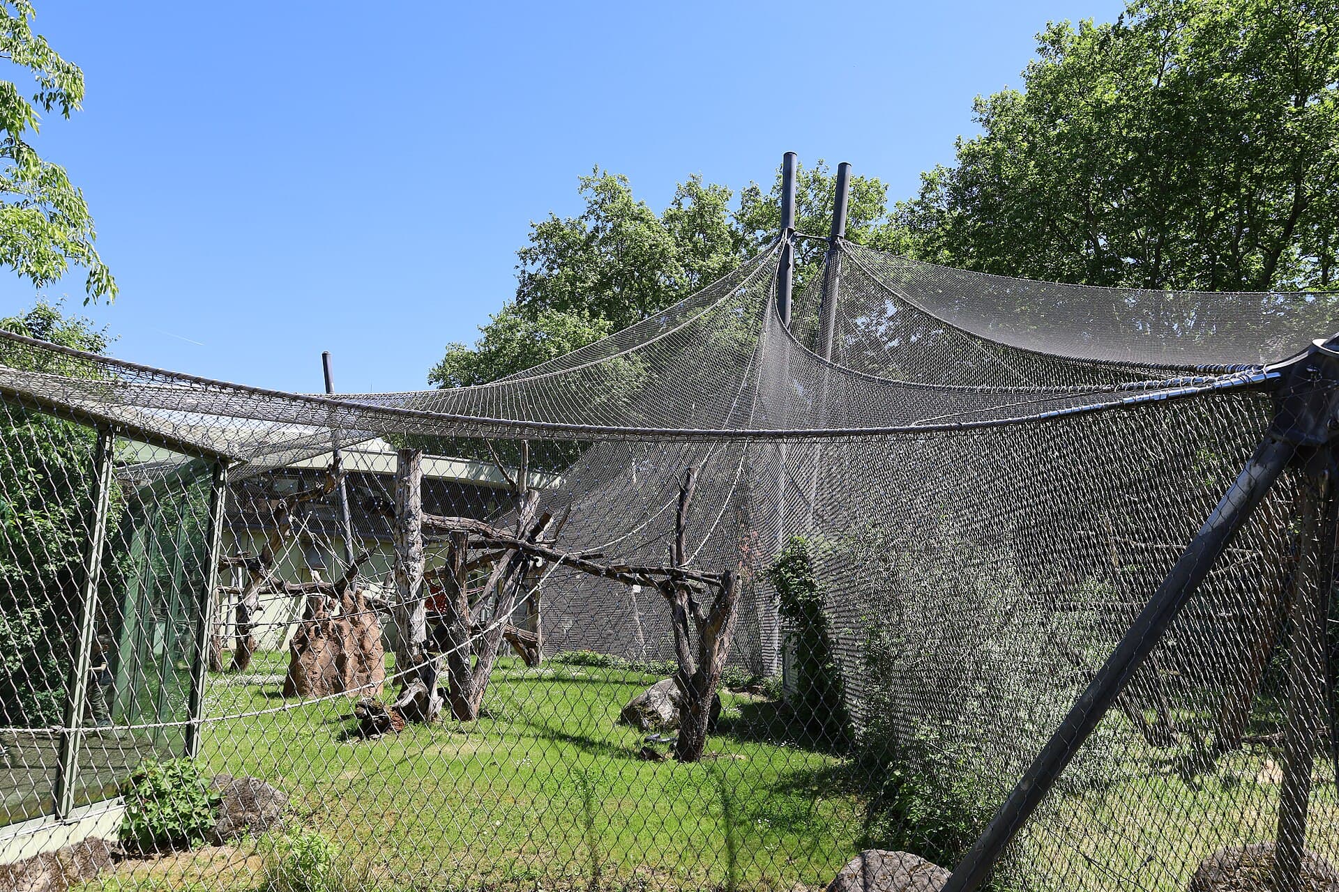Frankfurt Zoo, Frankfurt