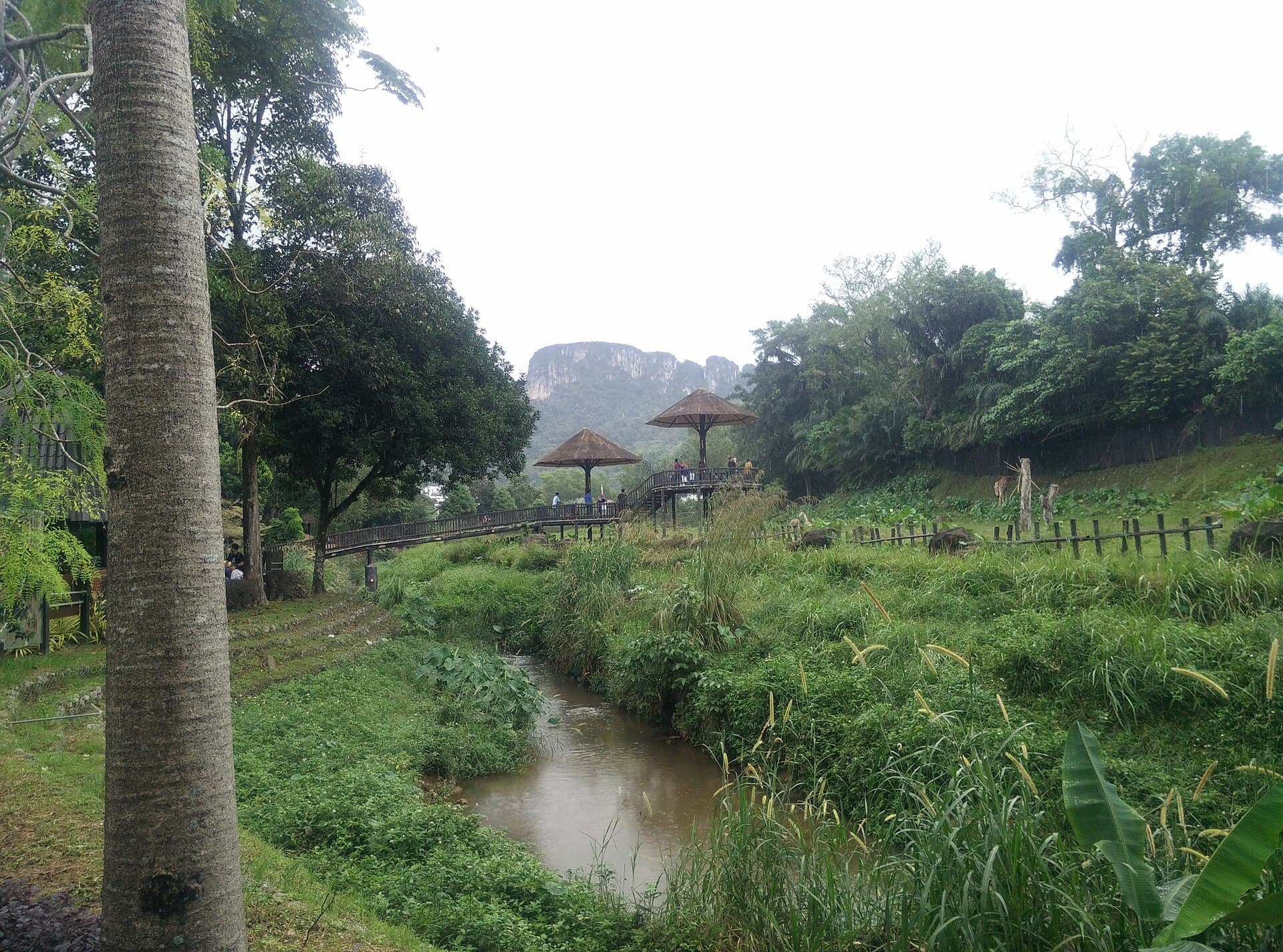 Zoo Negara, Kuala Lumpur