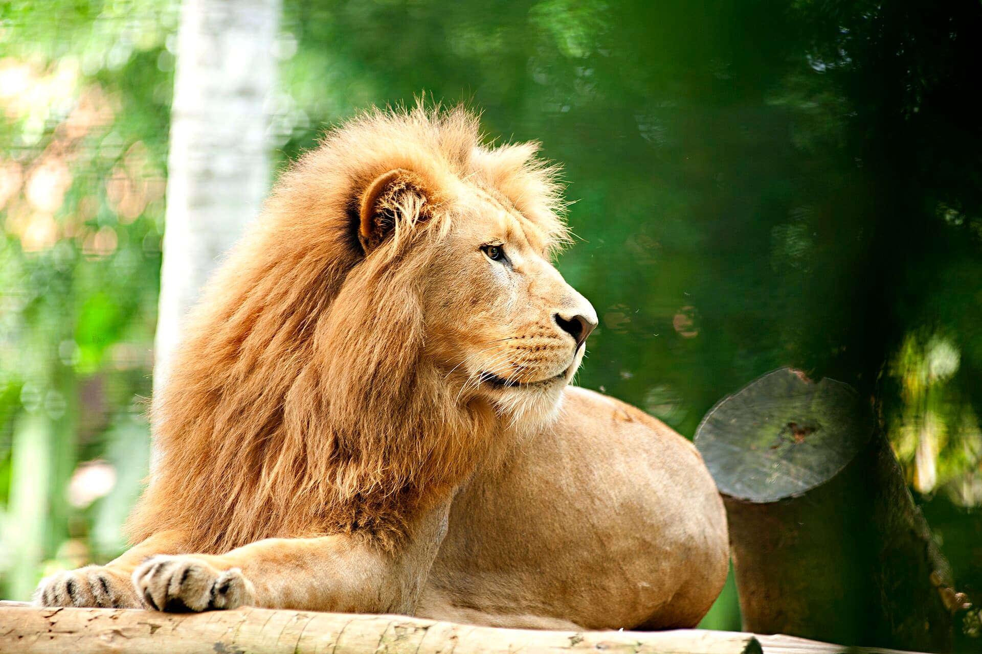 Pomerode Zoo, Pomerode