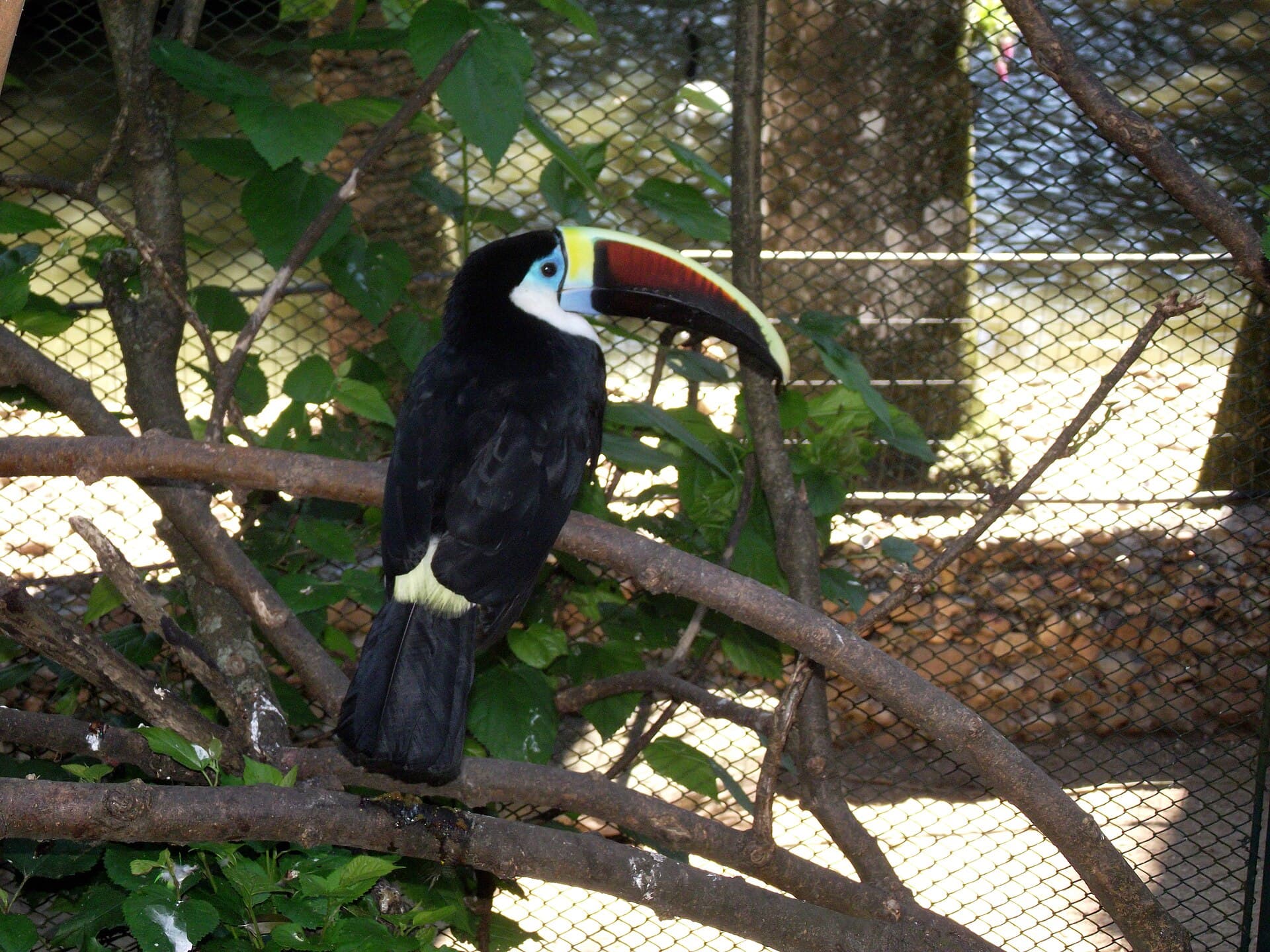 Pomerode Zoo, Pomerode