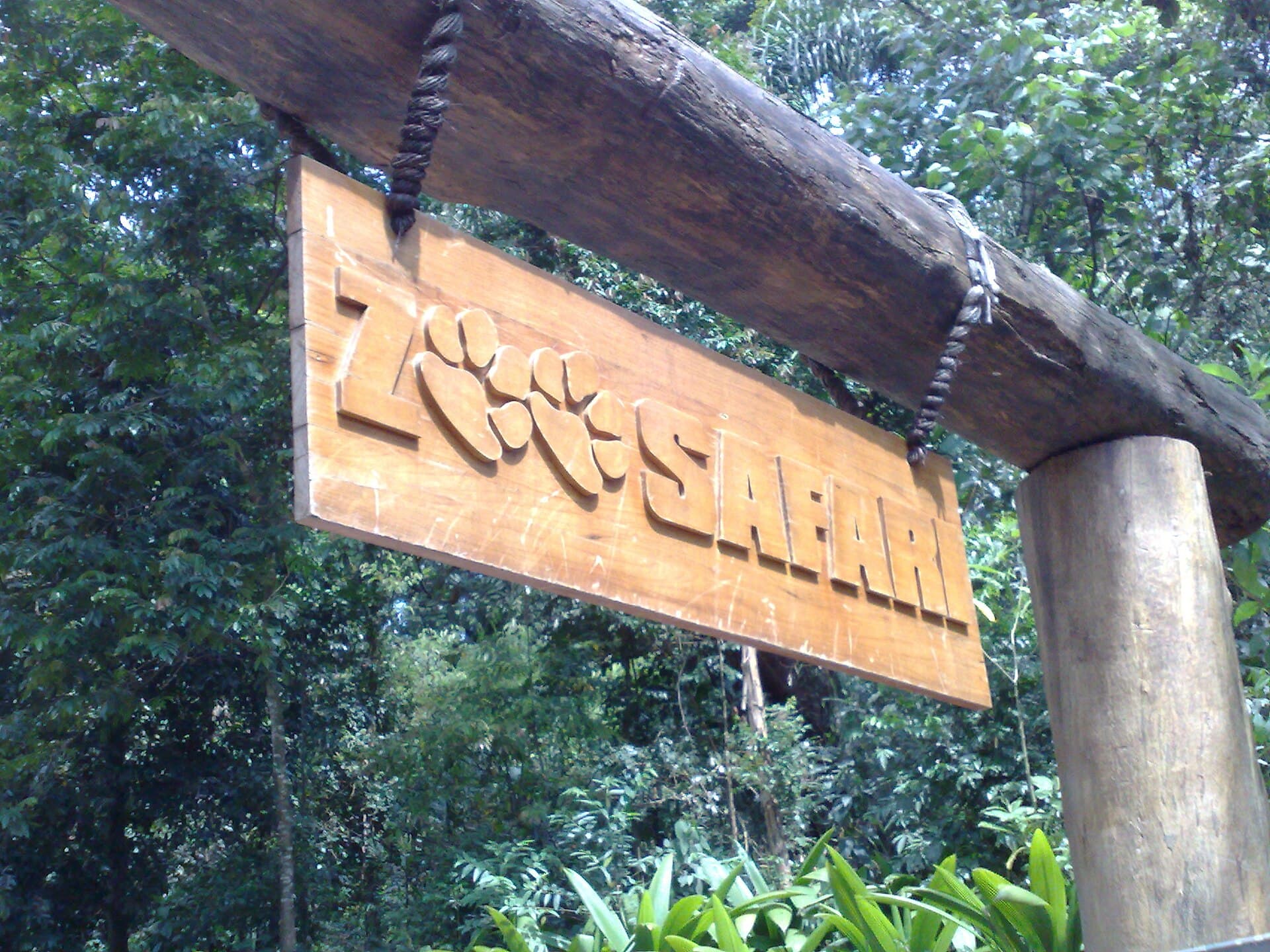 Zoo Safári São Paulo, São Paulo