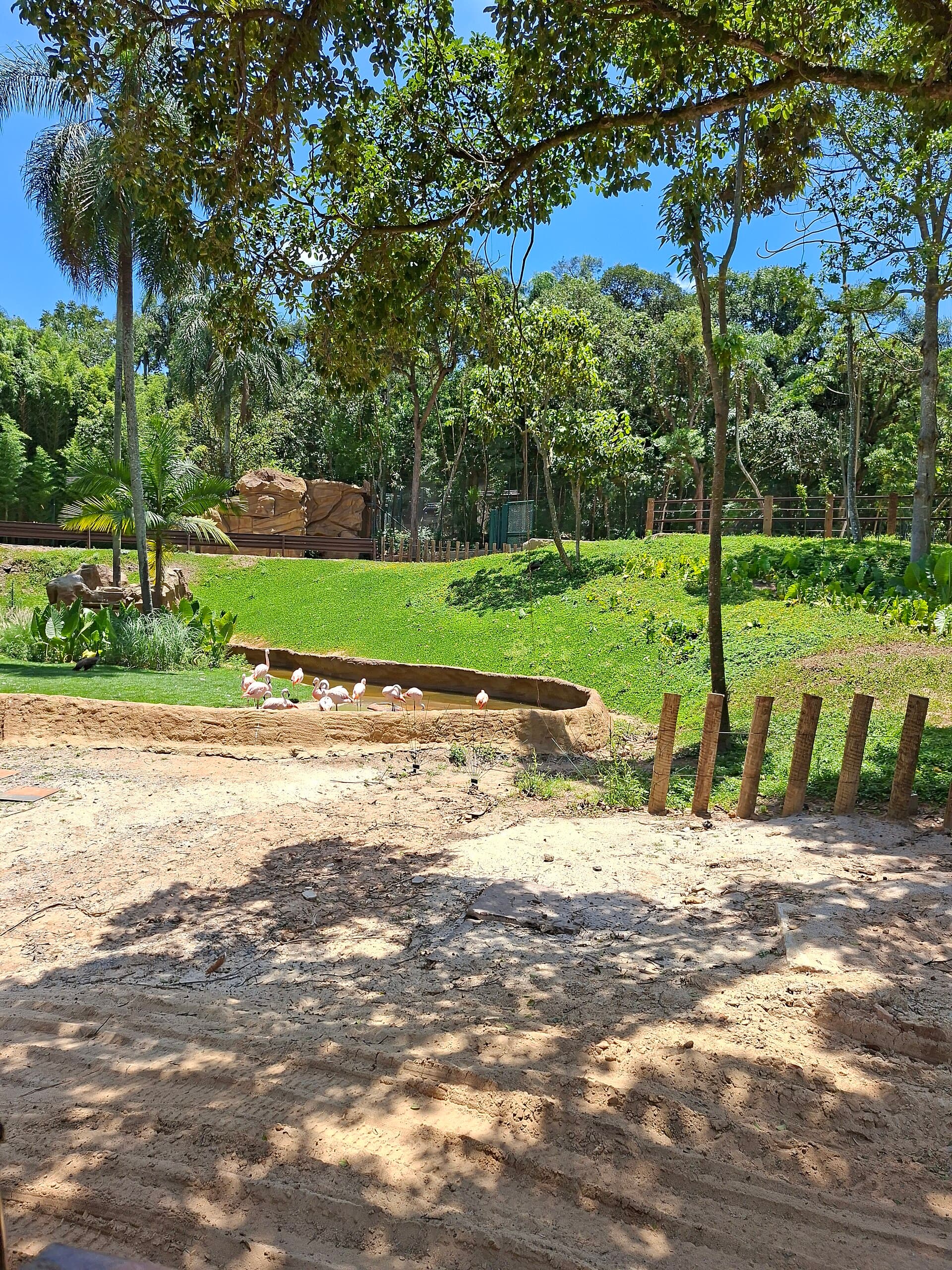 Zoo Safári São Paulo, São Paulo
