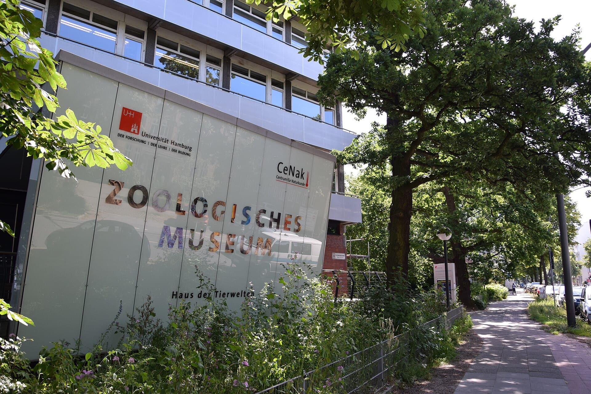 Zoological Museum Hamburg, Hamburg