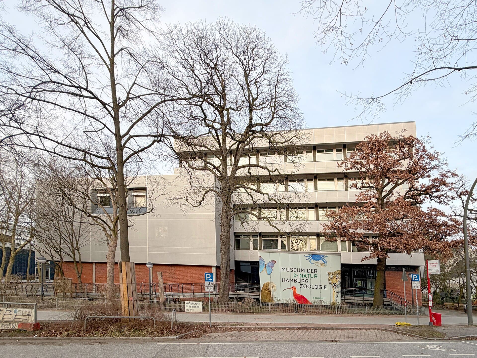 Zoological Museum Hamburg, Hamburg