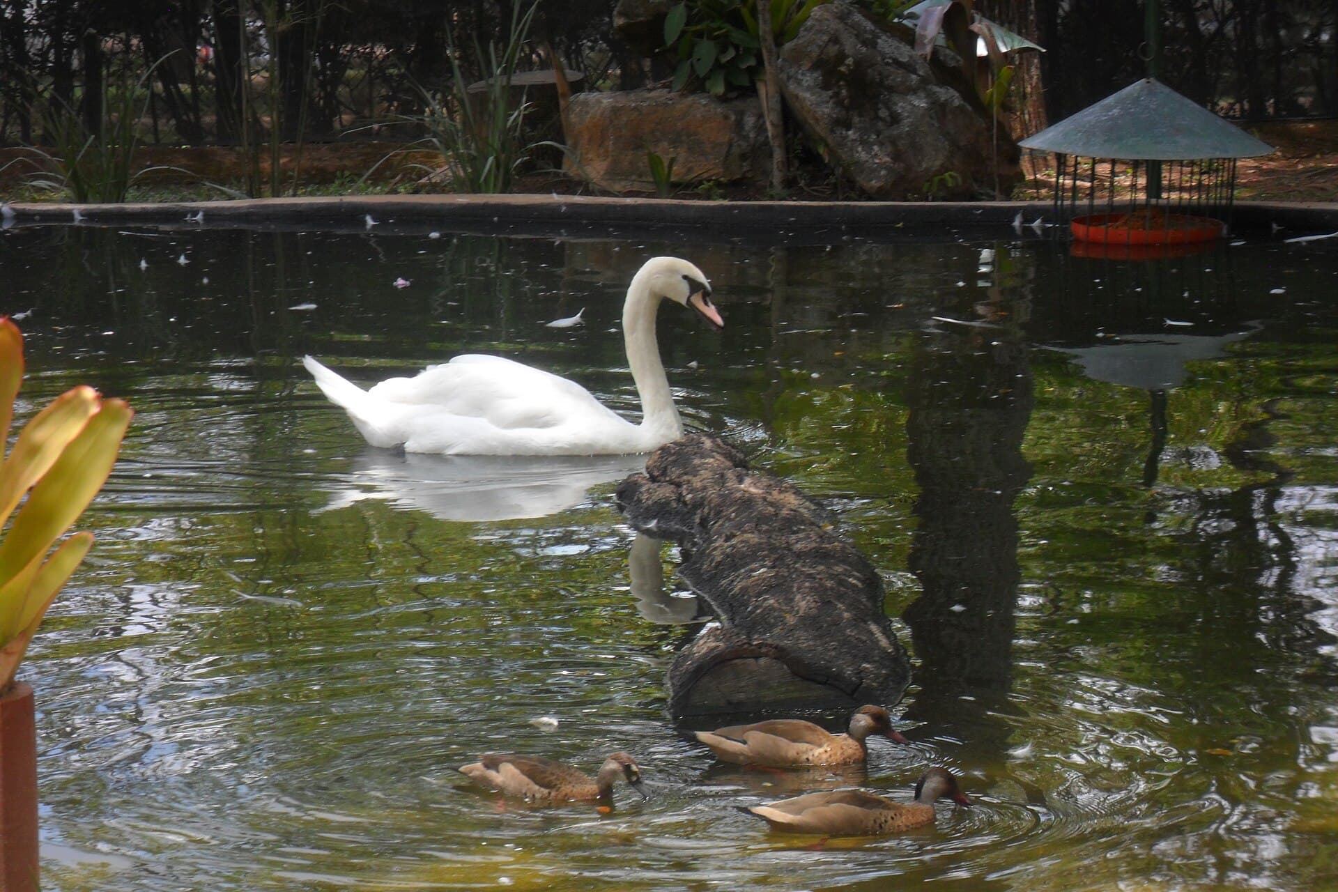 Belo Horizonte Zoo, Belo Horizonte