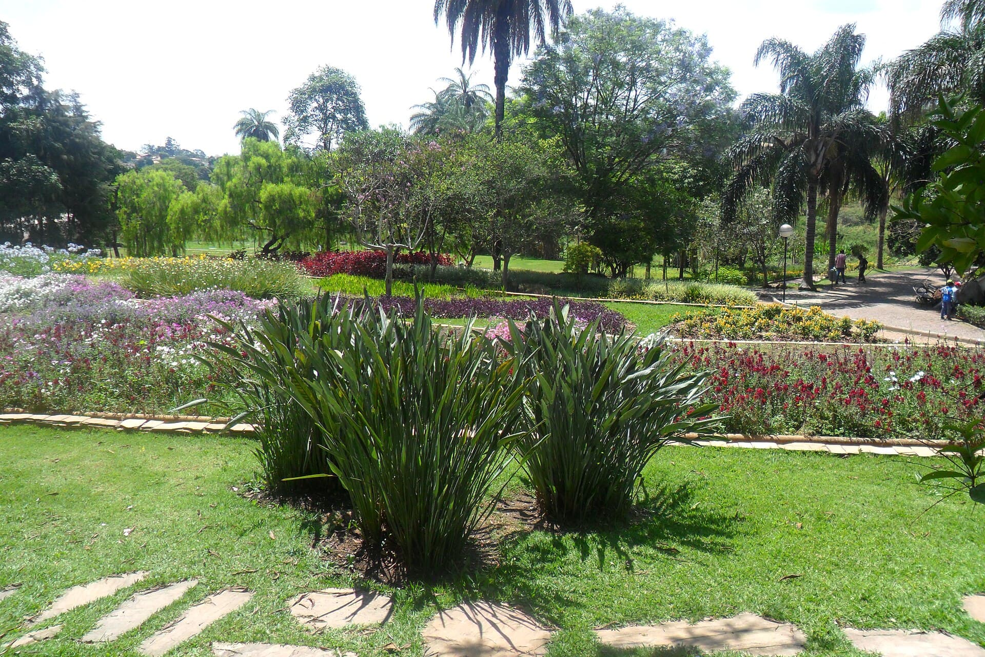 Belo Horizonte Zoo, Belo Horizonte